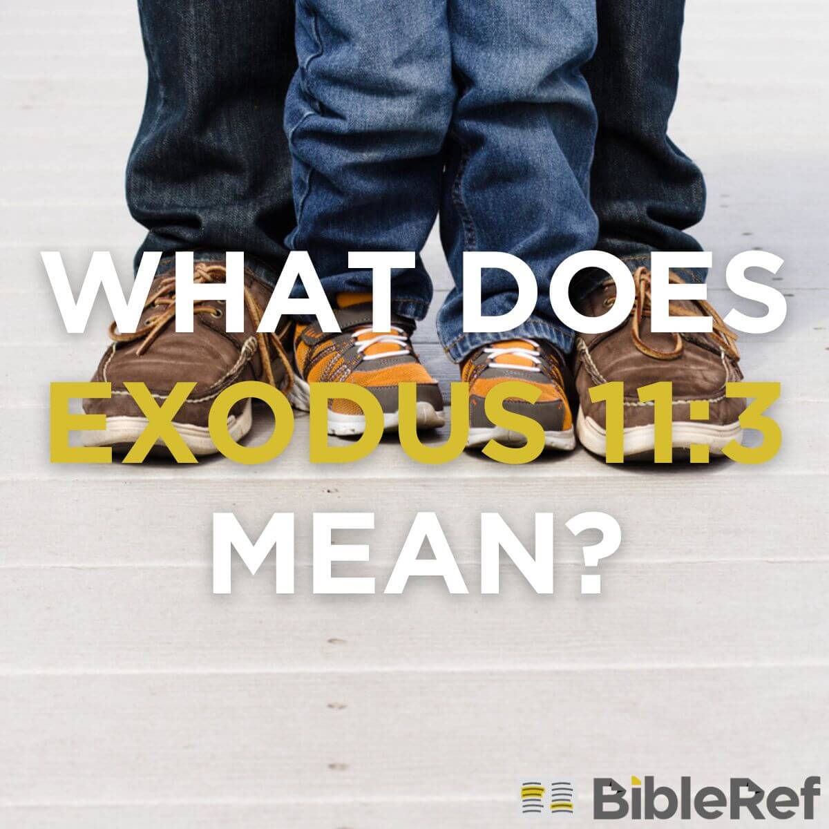 what-does-exodus-11-3-mean-bibleref