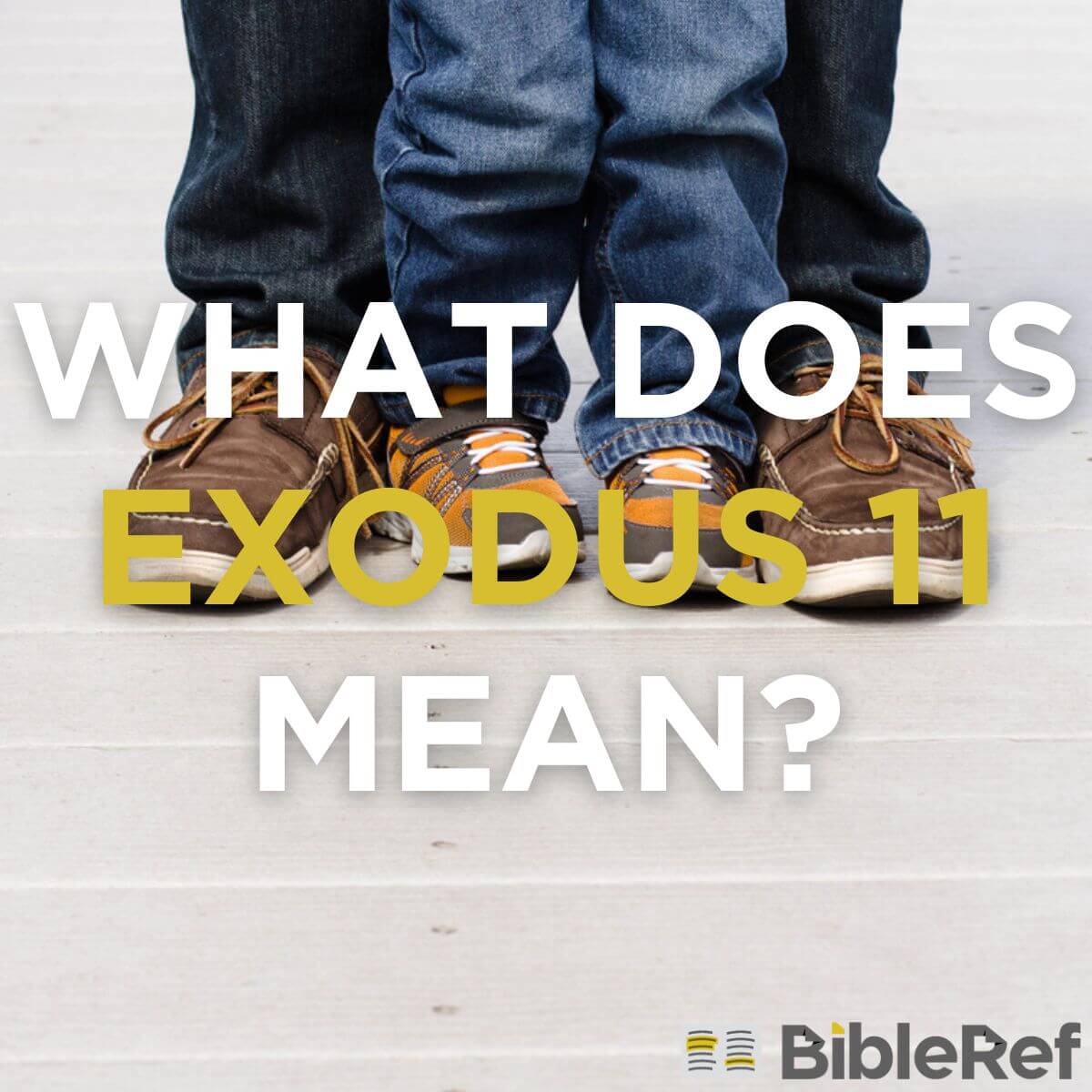 what-does-exodus-chapter-11-mean-bibleref