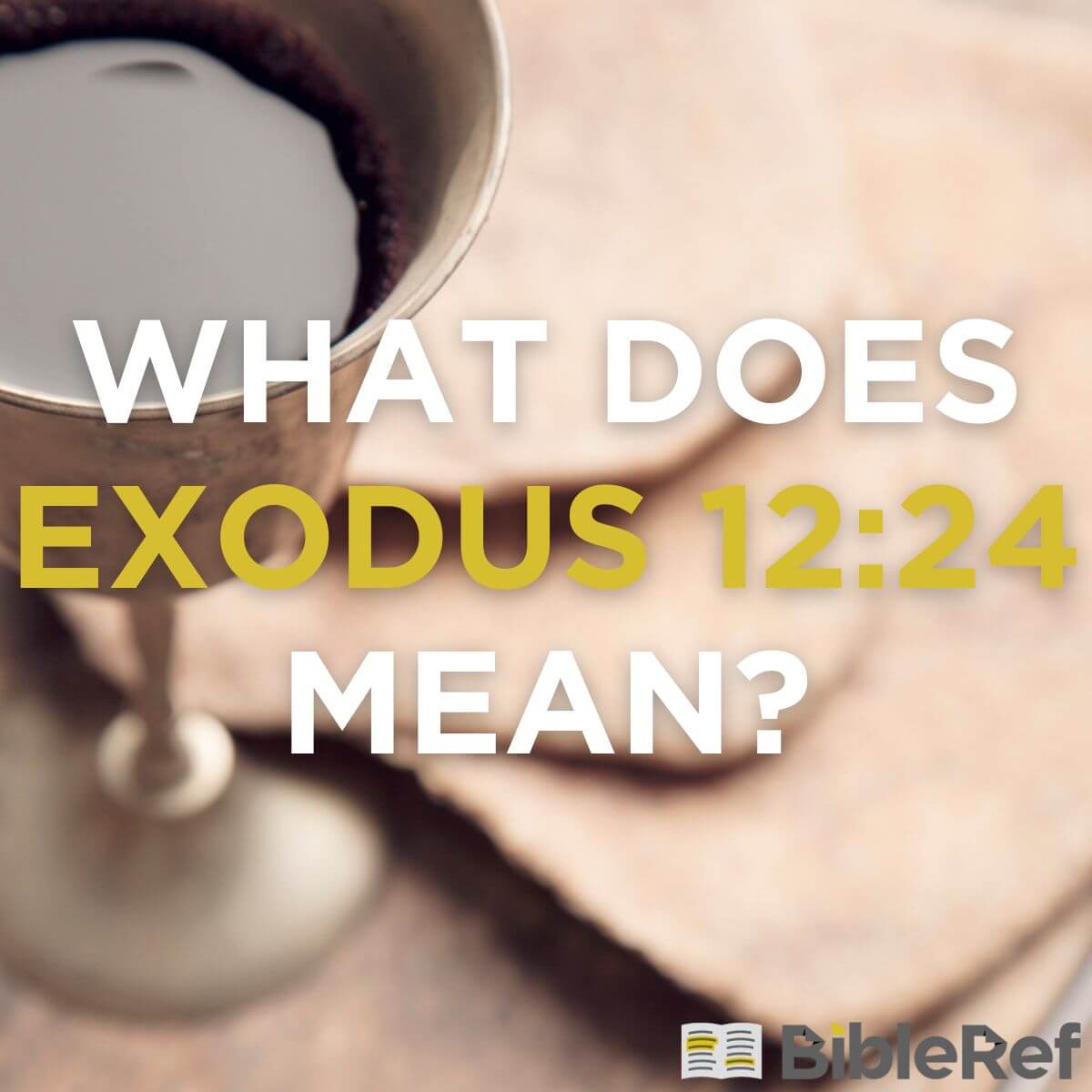 what-does-exodus-12-24-mean-bibleref