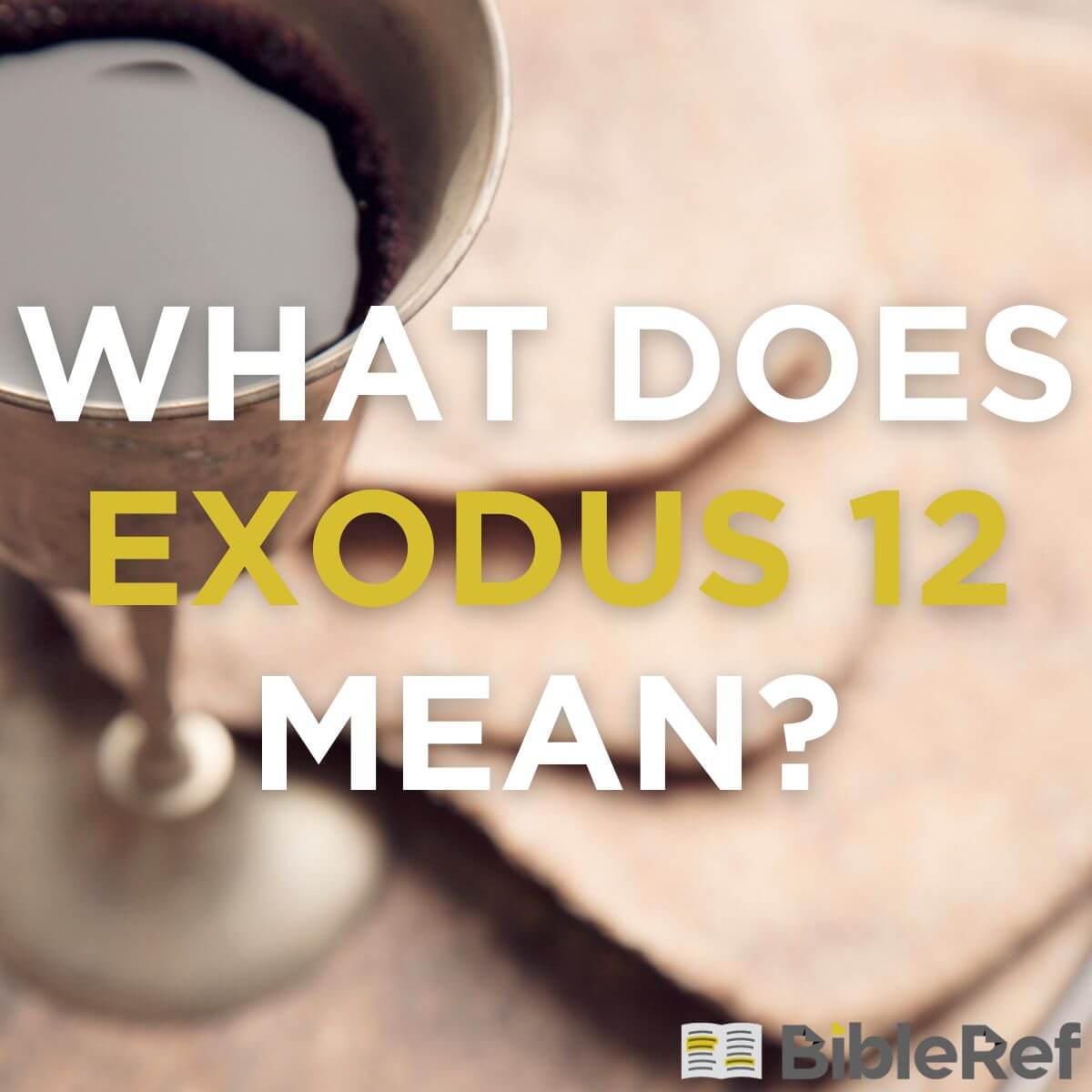 what-does-exodus-chapter-12-mean-bibleref