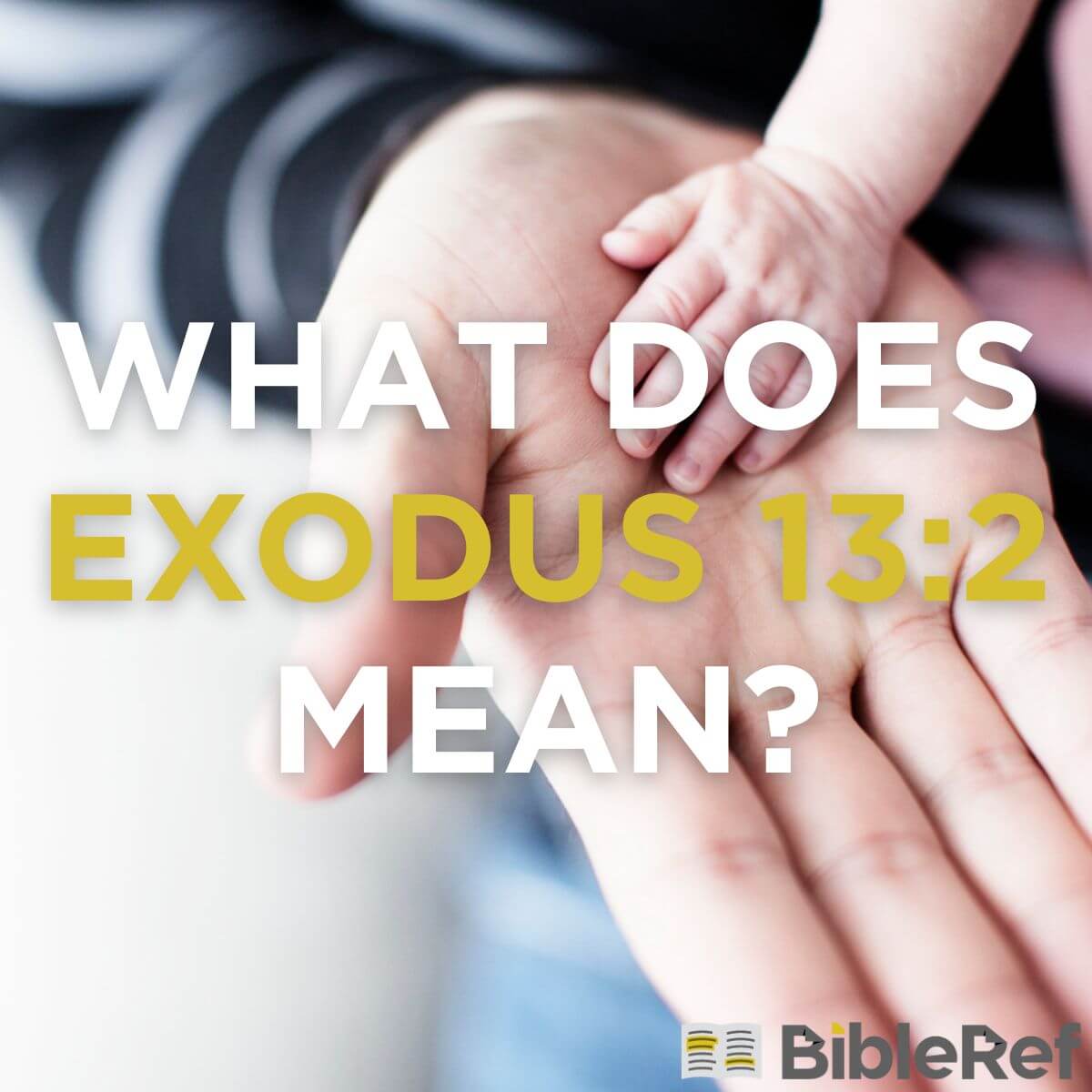 what-does-exodus-13-2-mean-bibleref