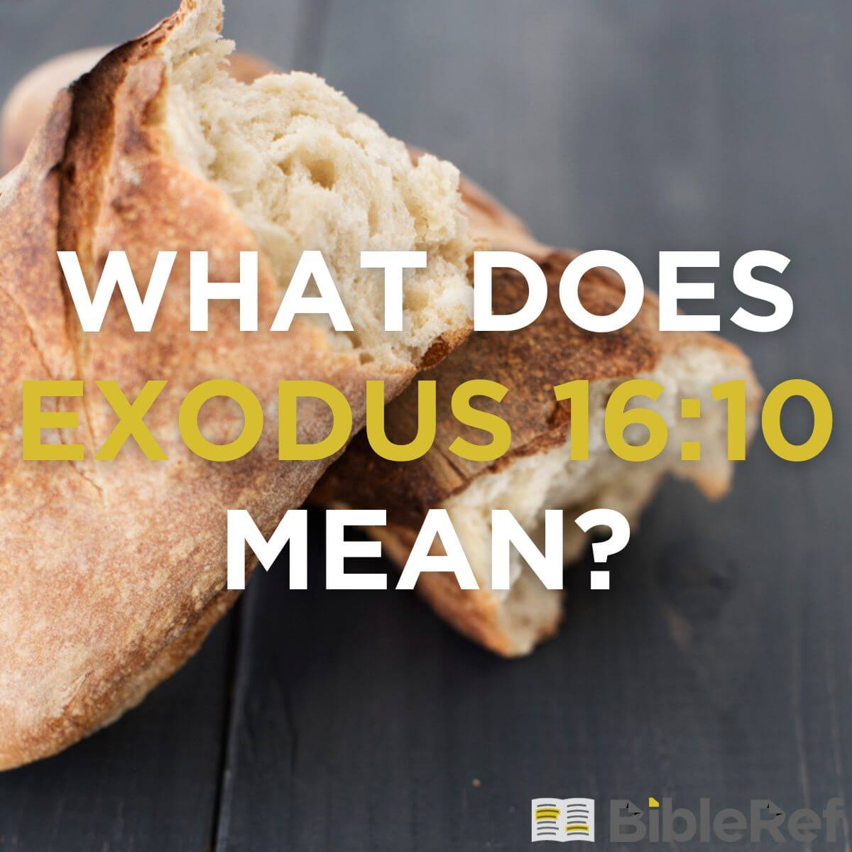 what-does-exodus-16-10-mean-bibleref