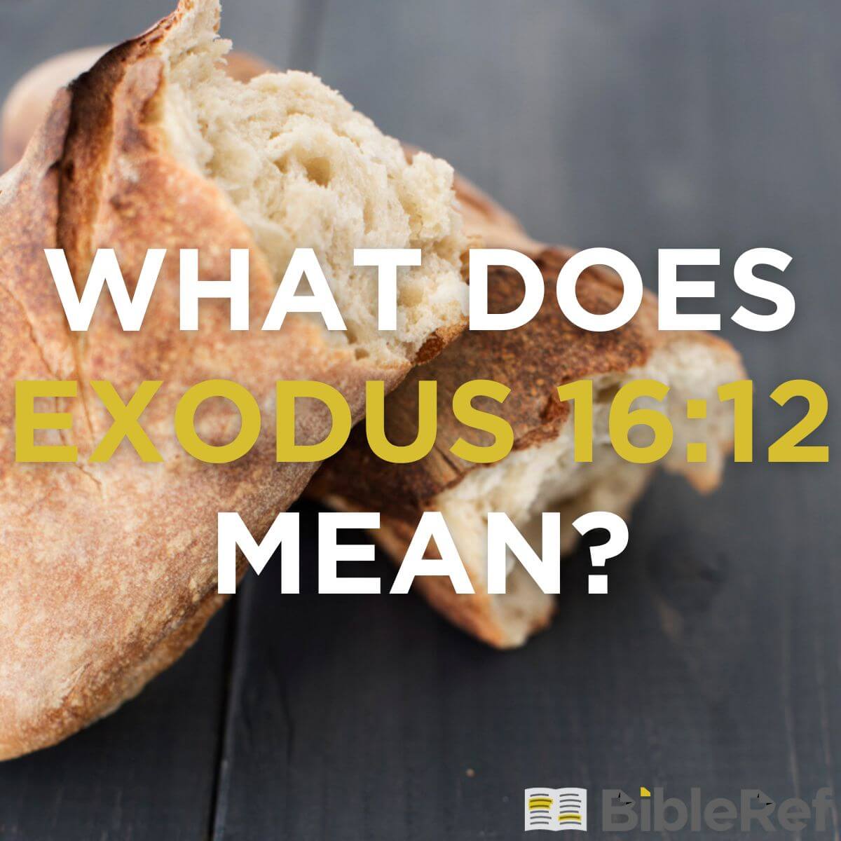 What Does Exodus 16:12 Mean? | BibleRef.com