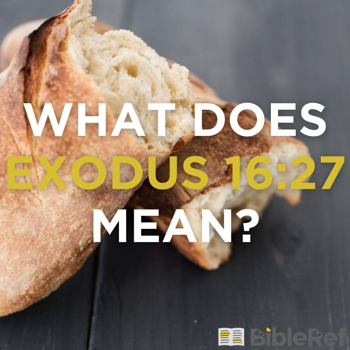 what-does-exodus-16-27-mean-bibleref