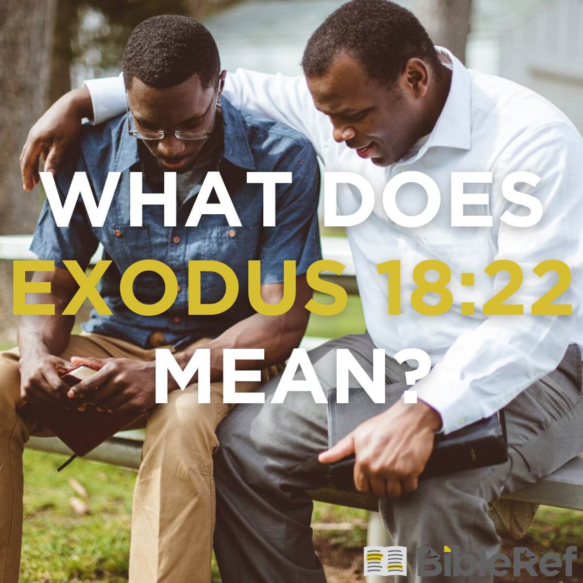 what-does-exodus-18-22-mean-bibleref