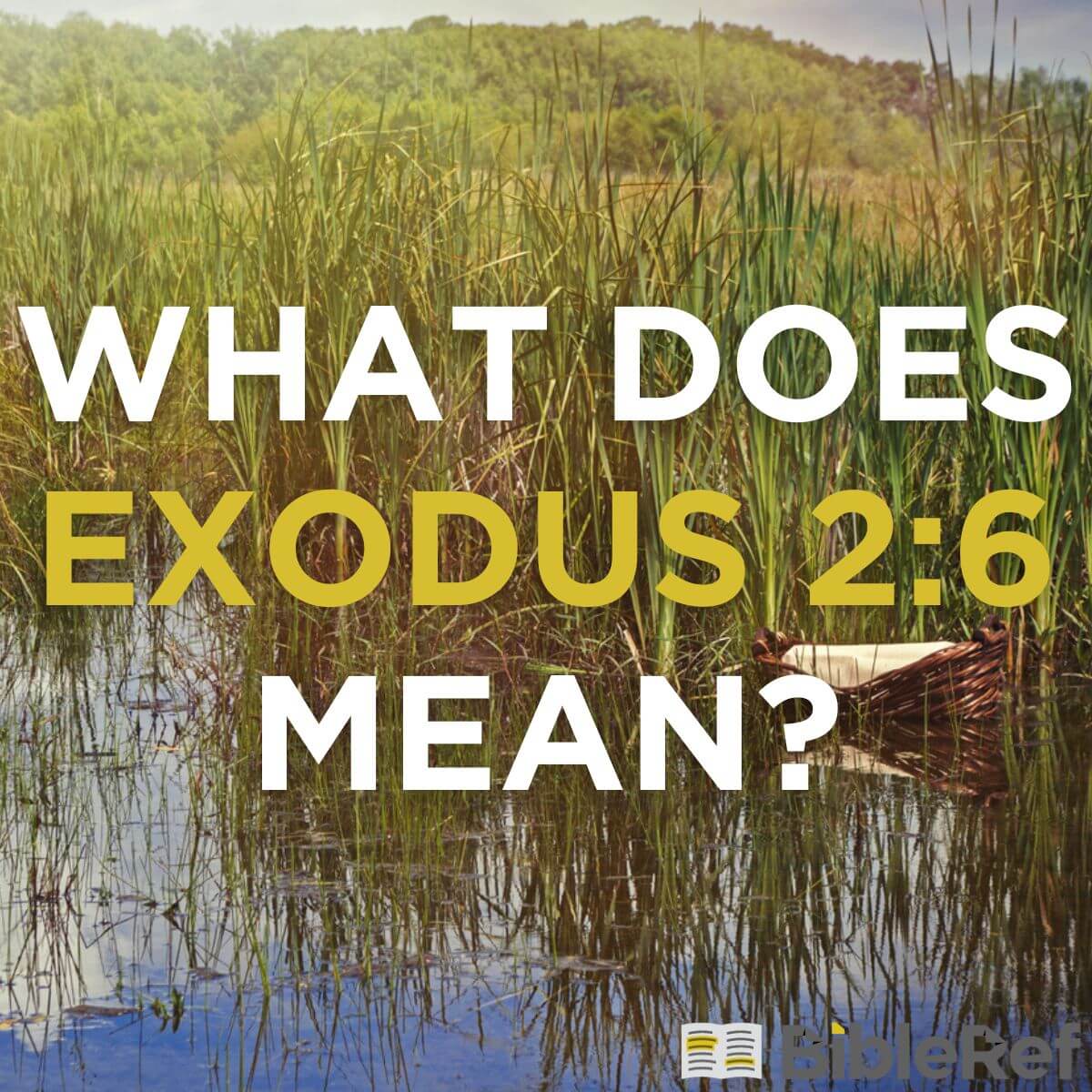 Exodus 6 csb hotsell