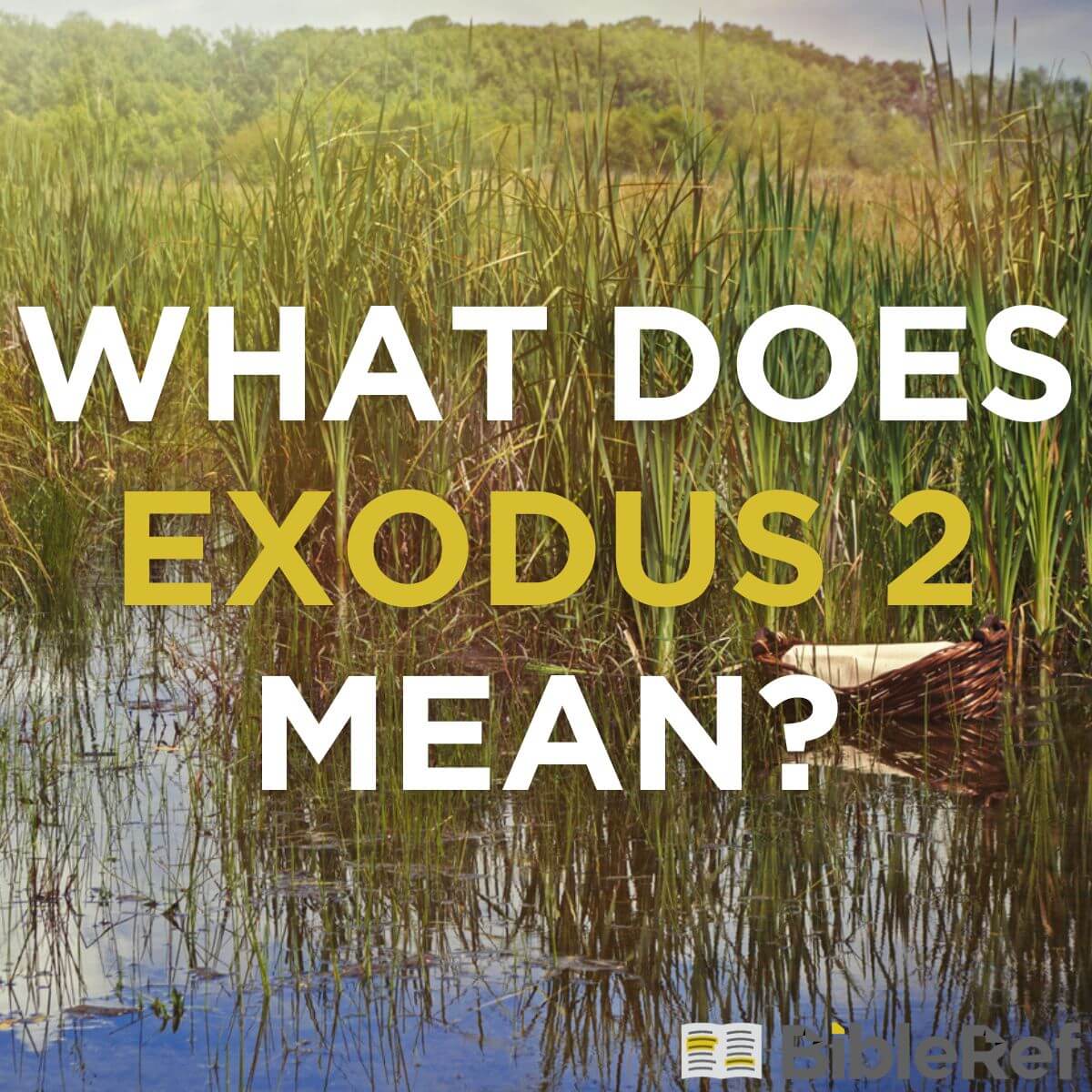 what-does-exodus-chapter-2-mean-bibleref