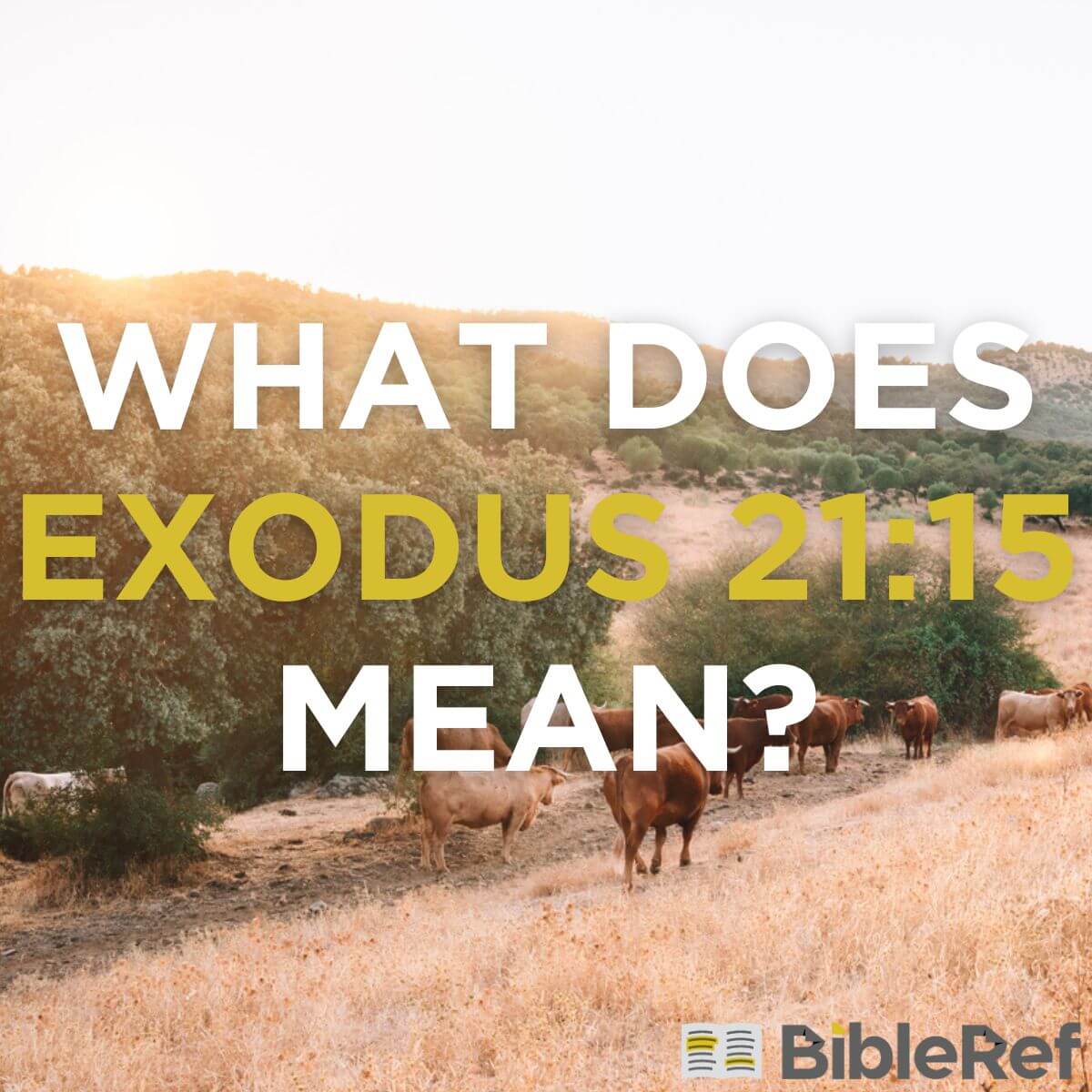 What does Exodus 21:15 mean? | BibleRef.com