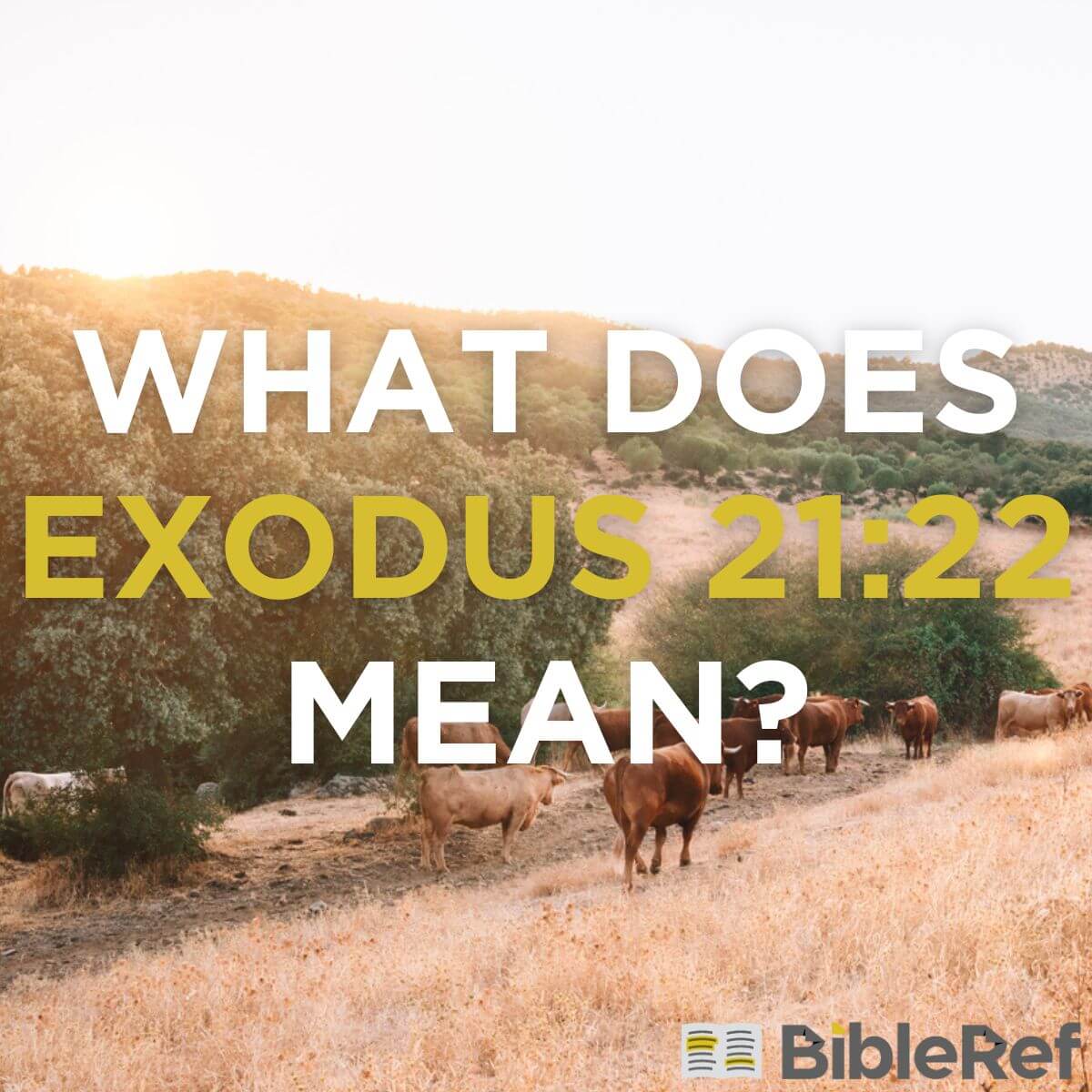 what-does-exodus-21-22-mean-bibleref