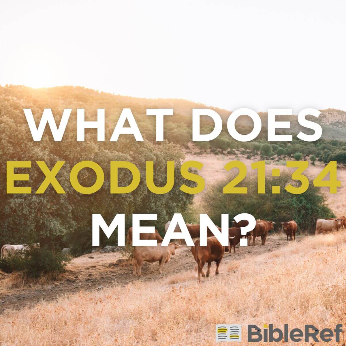 what-does-exodus-21-34-mean-bibleref