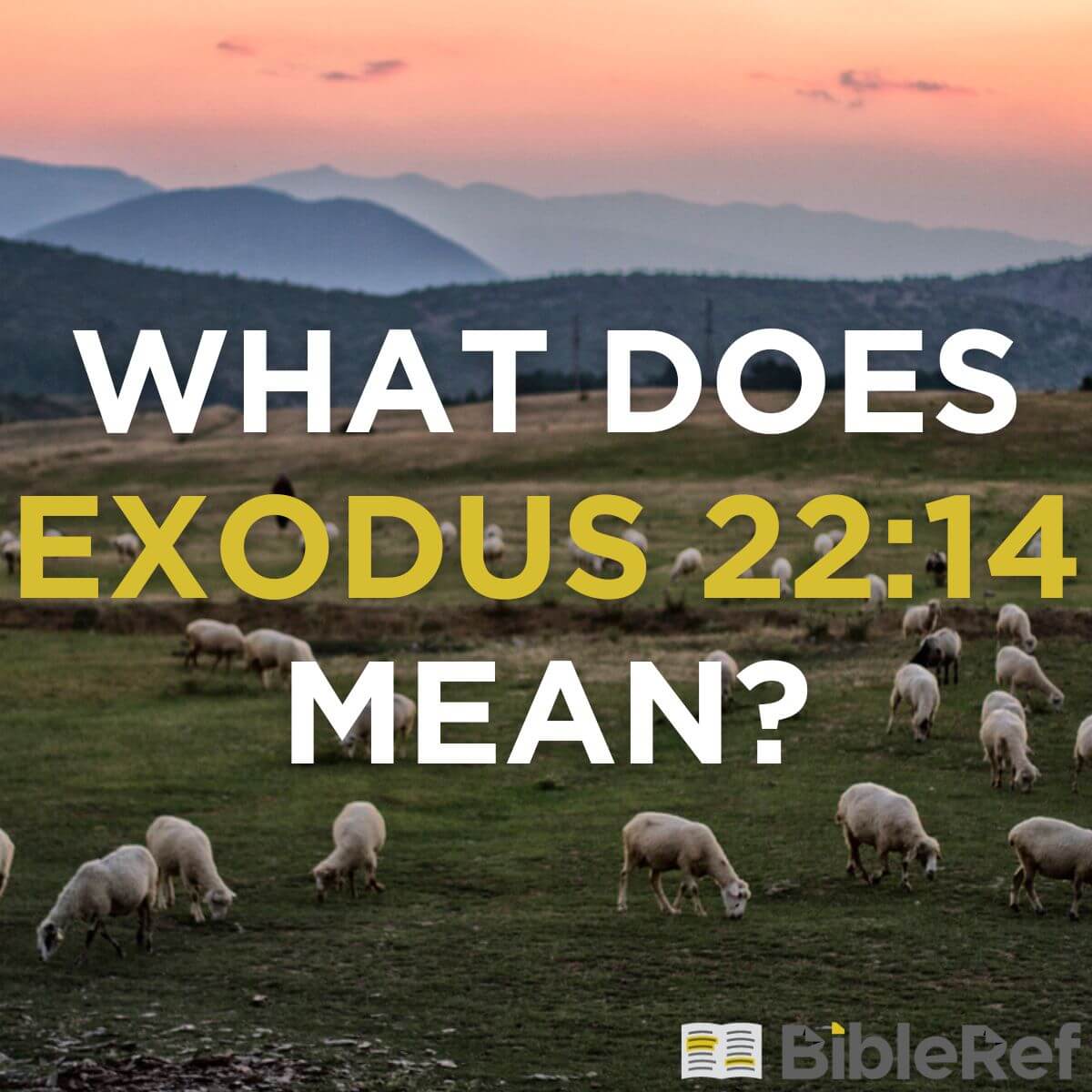 what-does-exodus-22-14-mean-bibleref