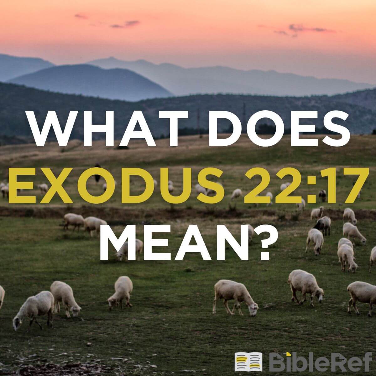 what-does-exodus-22-17-mean-bibleref