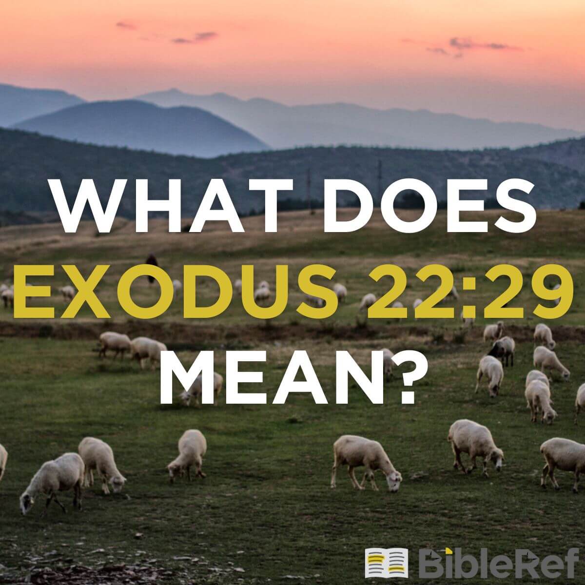 what-does-exodus-22-29-mean-bibleref