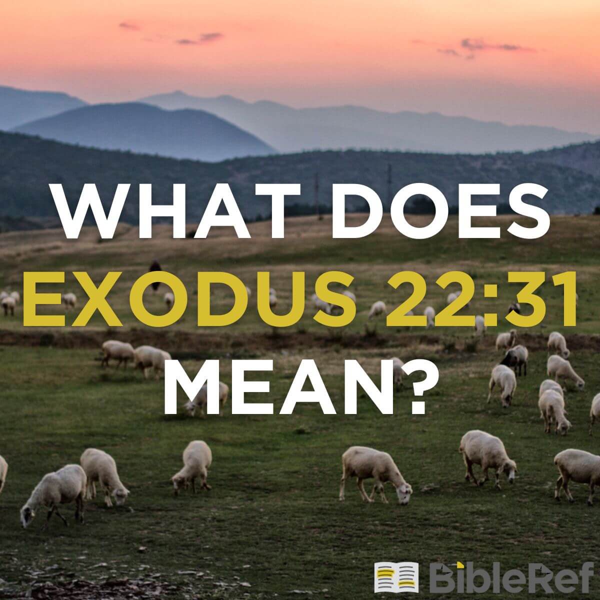 what-does-exodus-22-31-mean-bibleref