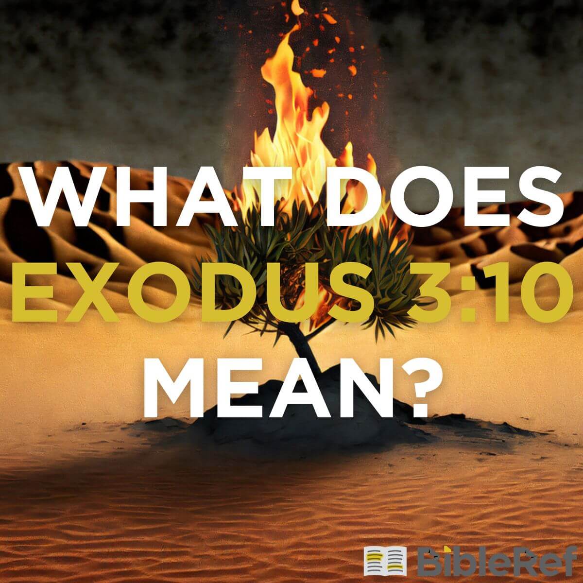 what-does-exodus-3-10-mean-bibleref