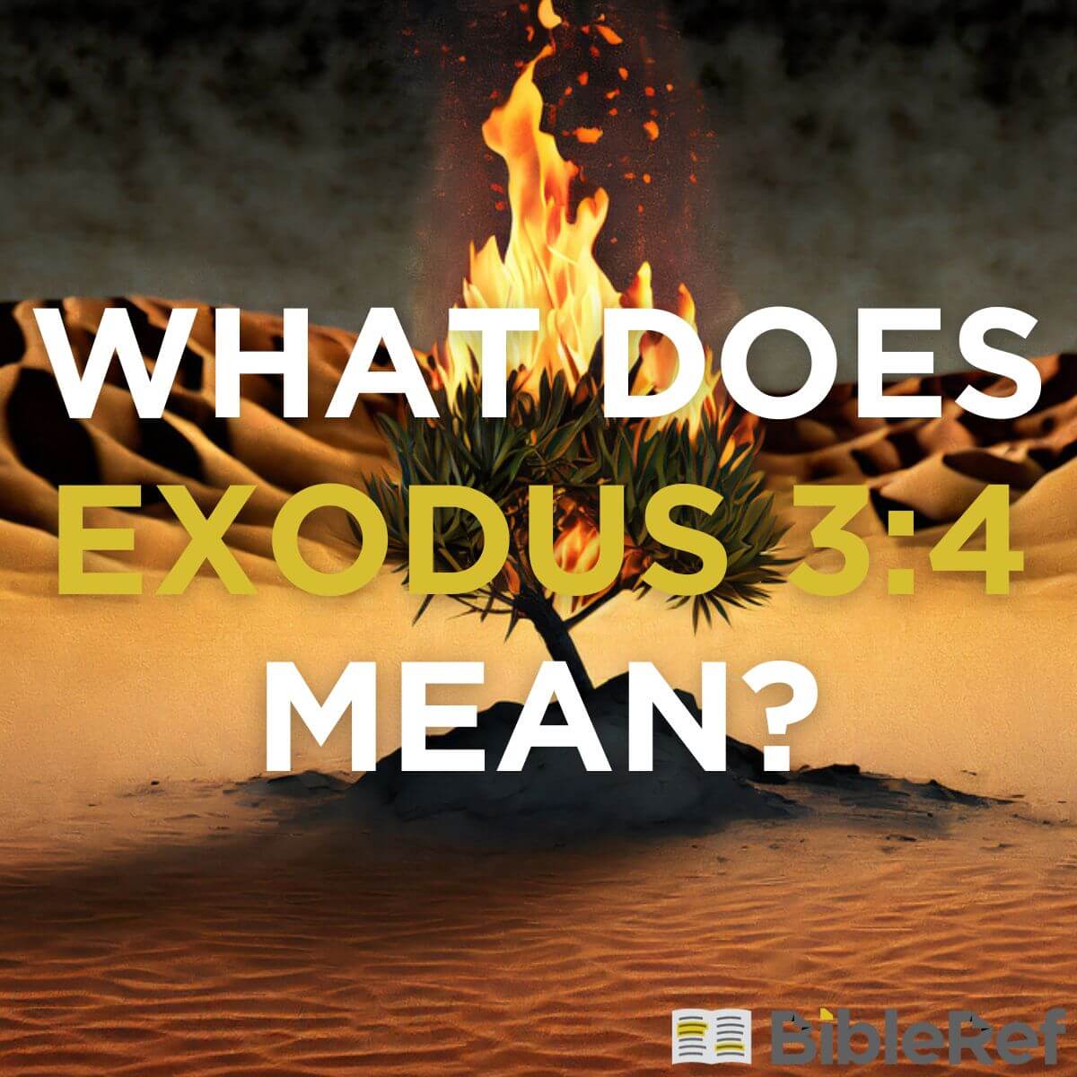 What does Exodus 3 4 mean BibleRef