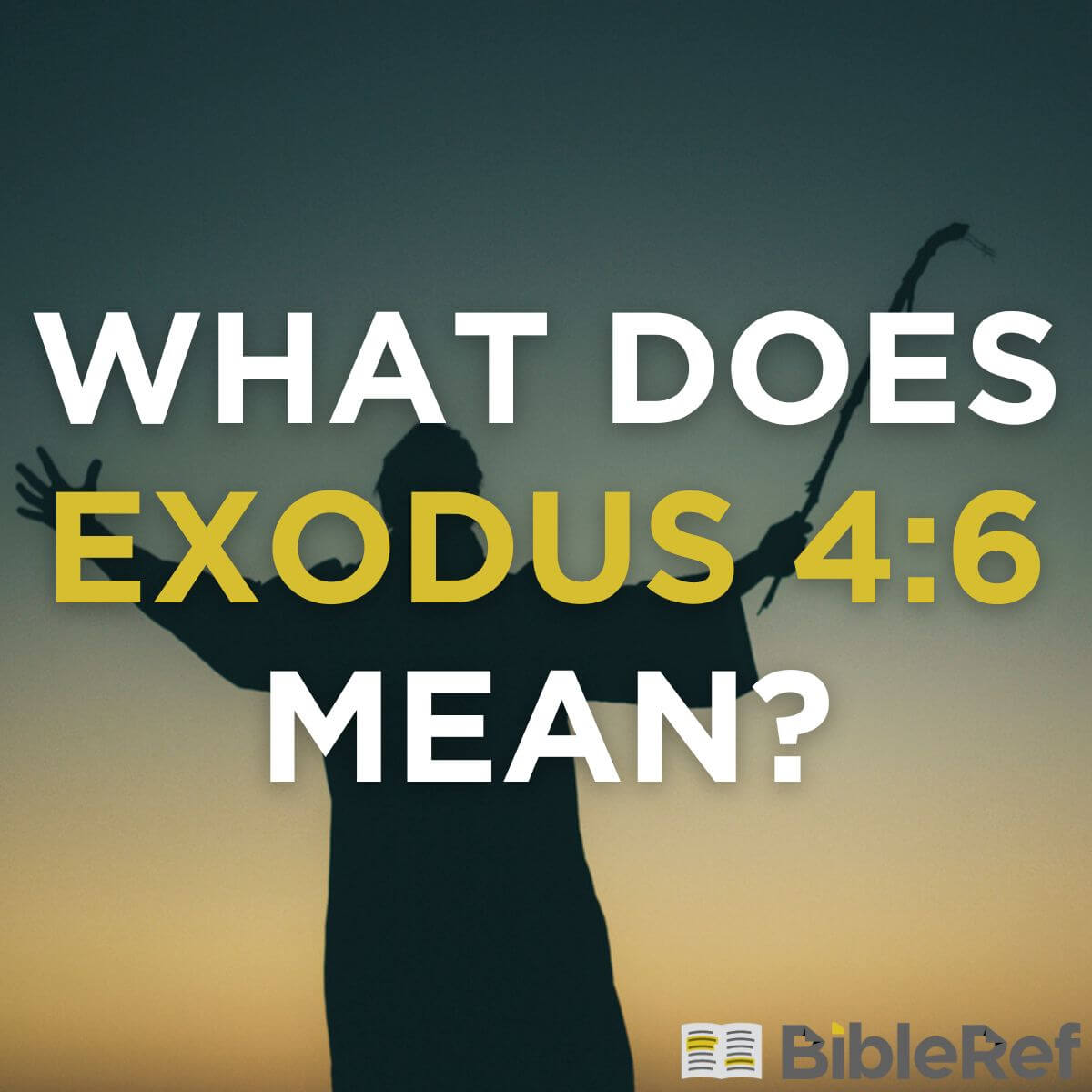 What does Exodus 4 6 mean BibleRef