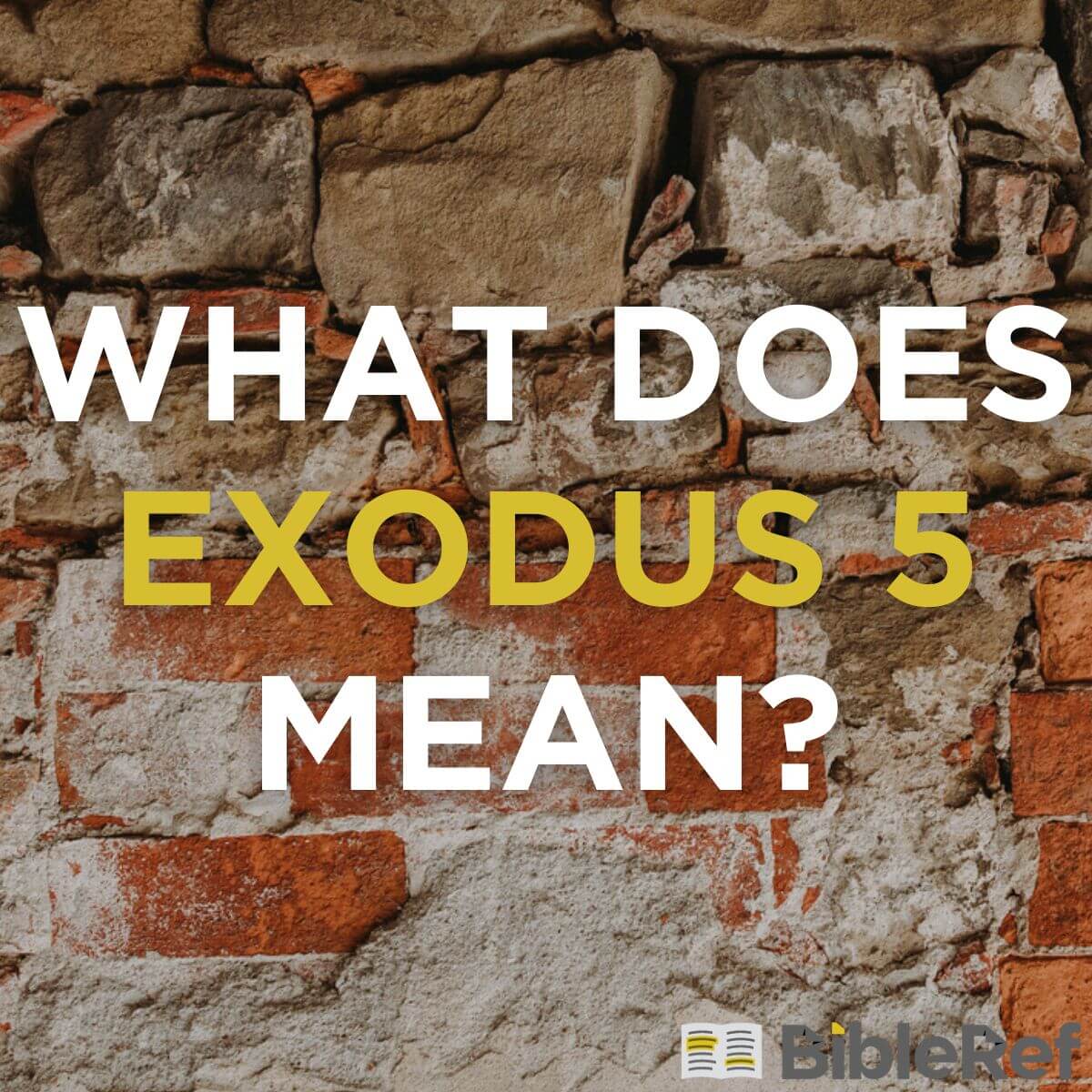 what-does-exodus-chapter-5-mean-bibleref