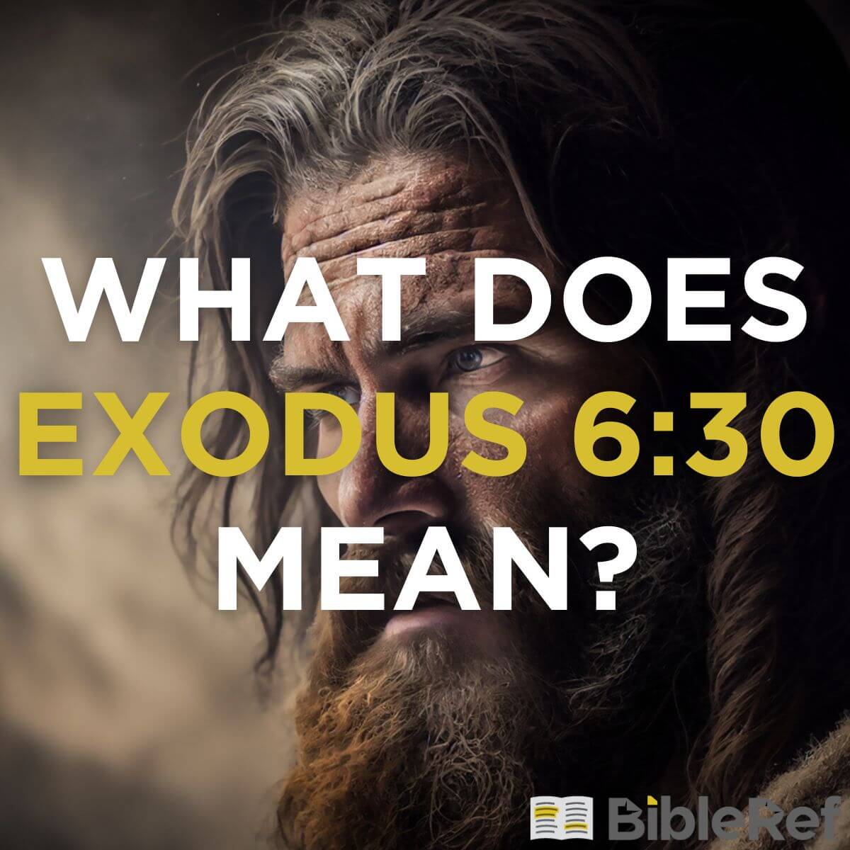 What does Exodus 6 30 mean BibleRef