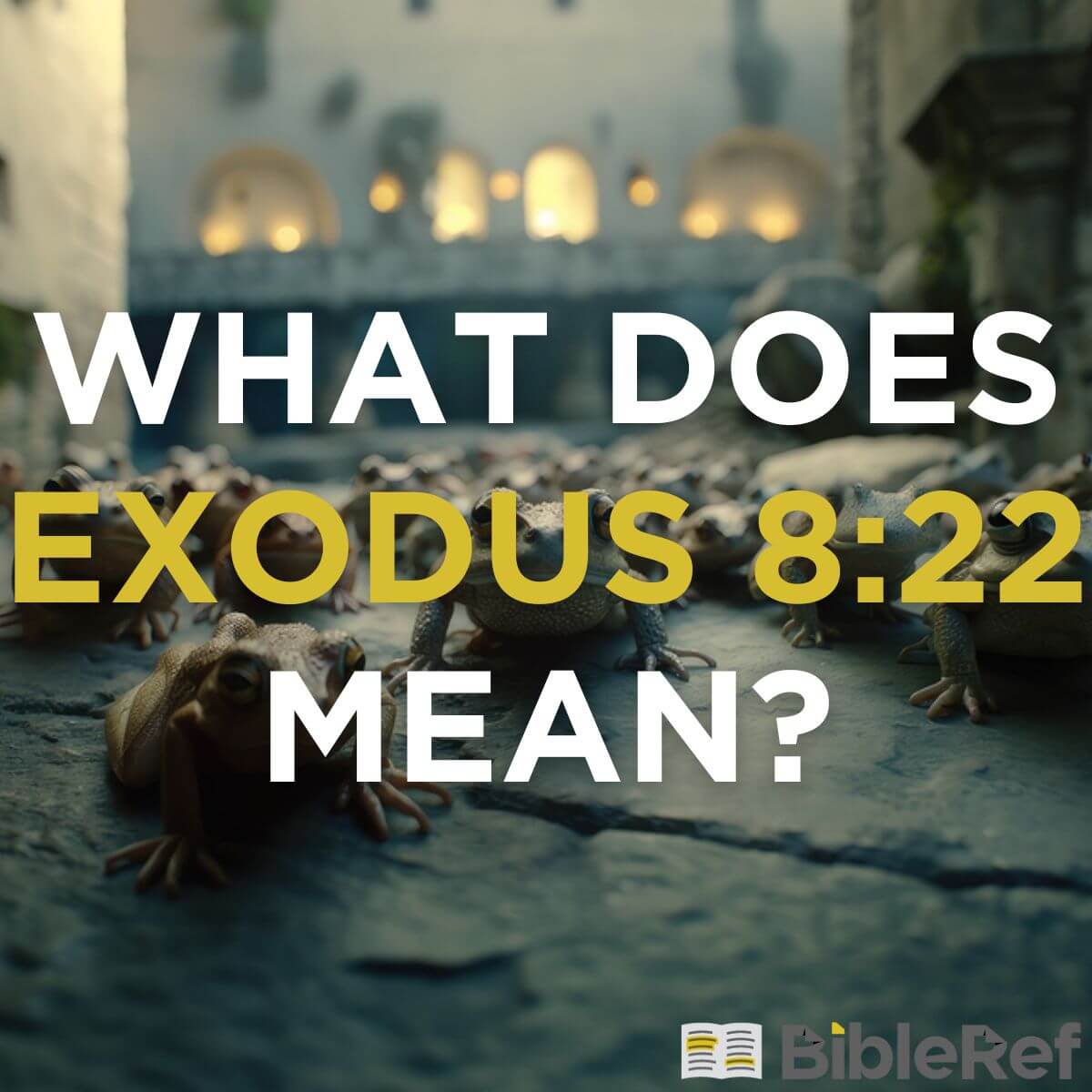 what-does-exodus-8-22-mean-bibleref