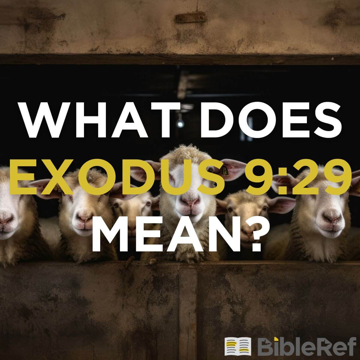 what-does-exodus-9-29-mean-bibleref