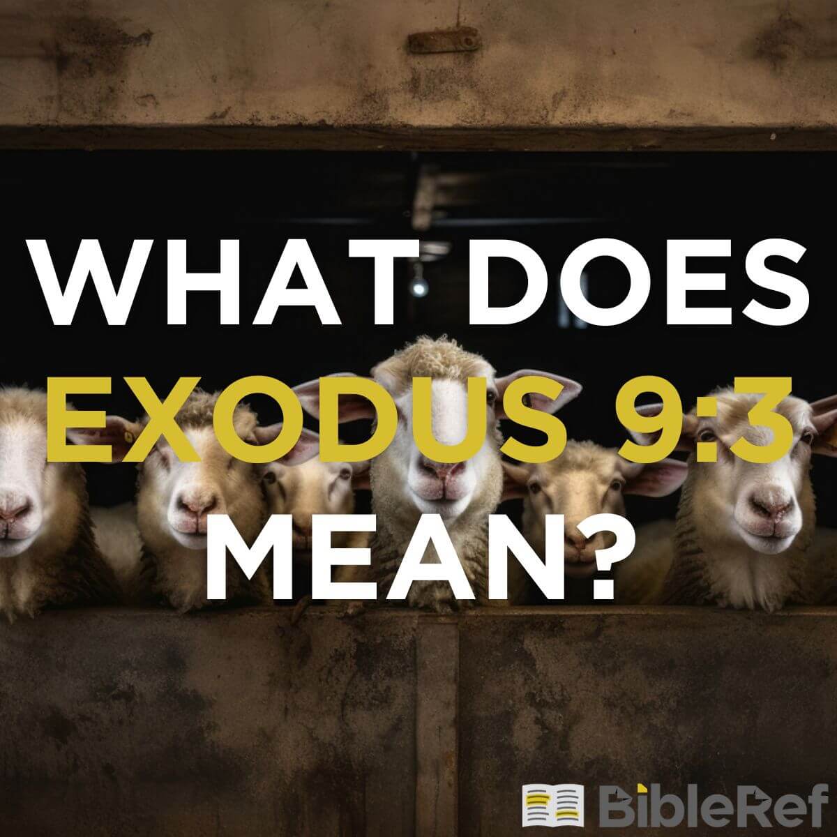 what-does-exodus-9-3-mean-bibleref