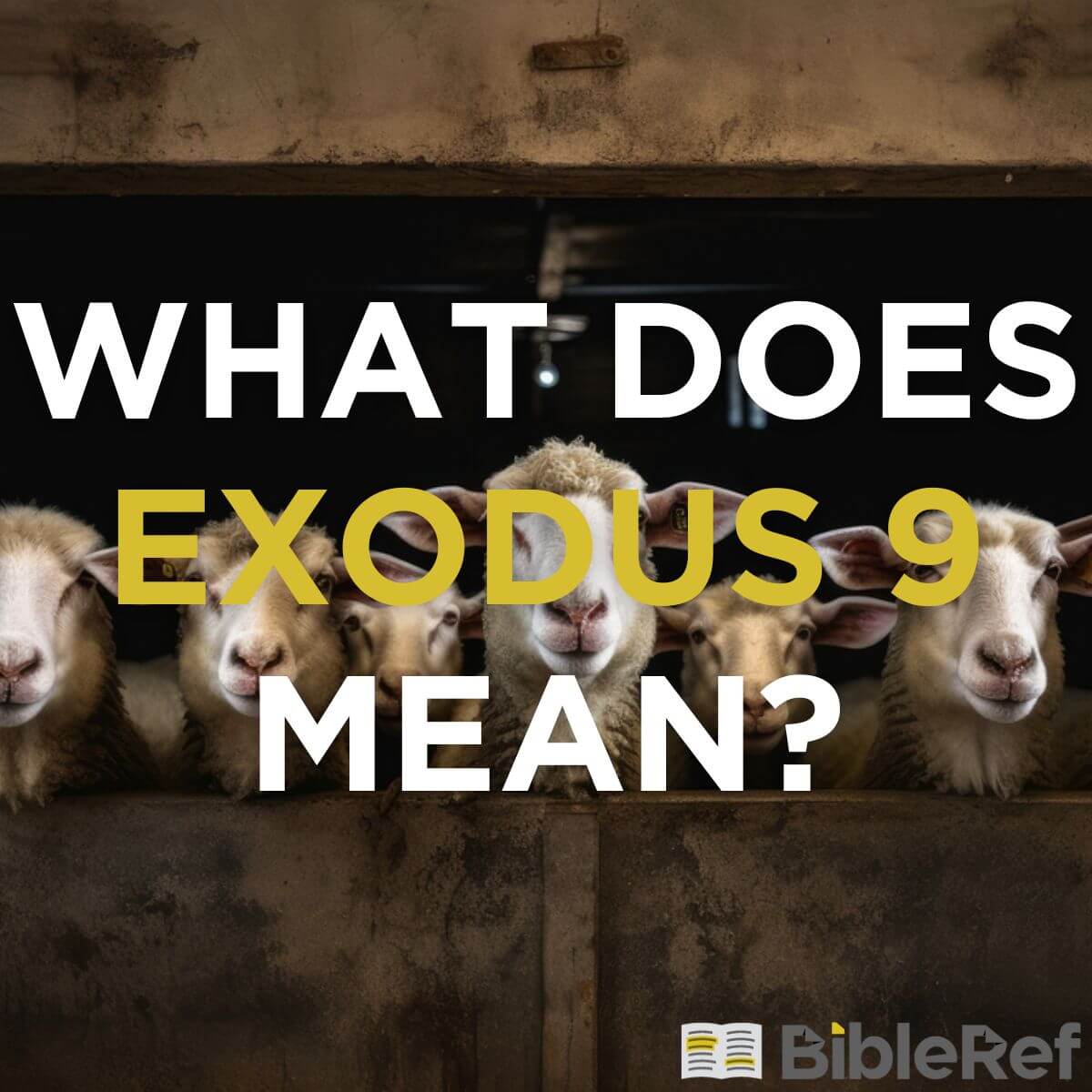 what-does-exodus-chapter-9-mean-bibleref