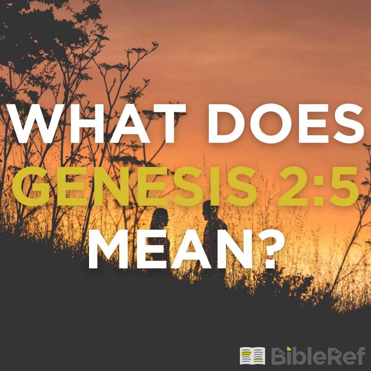 What does Genesis 2:5 mean? | BibleRef.com