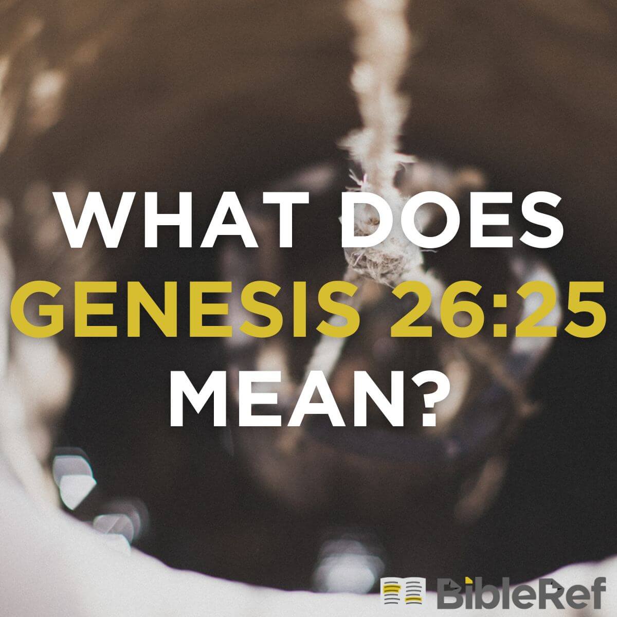 what does genesis 25 29 mean bibleref