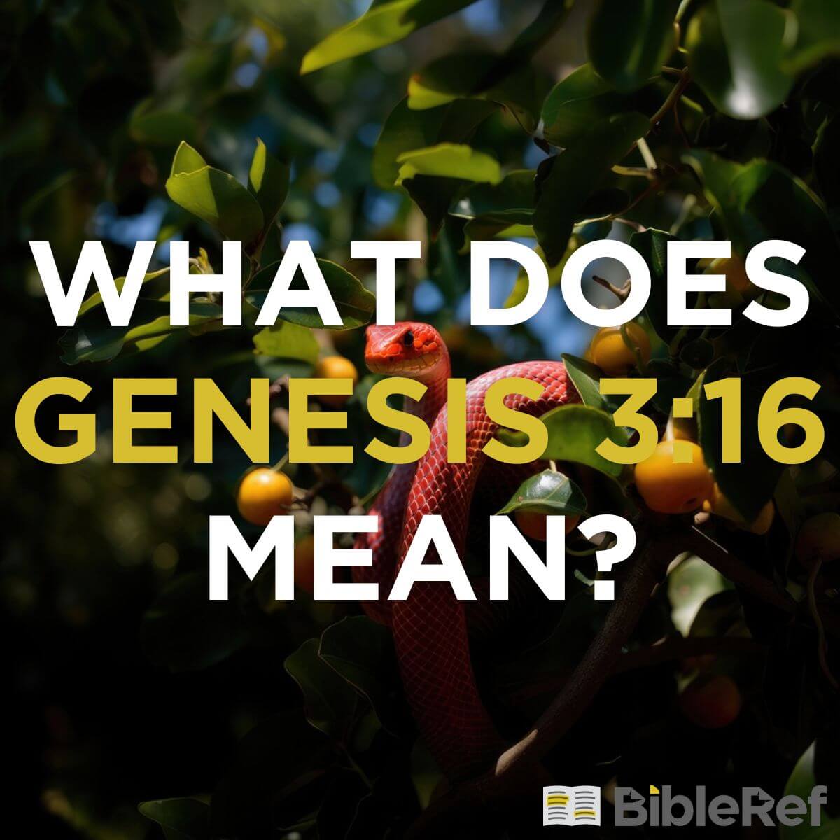 what-does-genesis-3-16-mean-bibleref