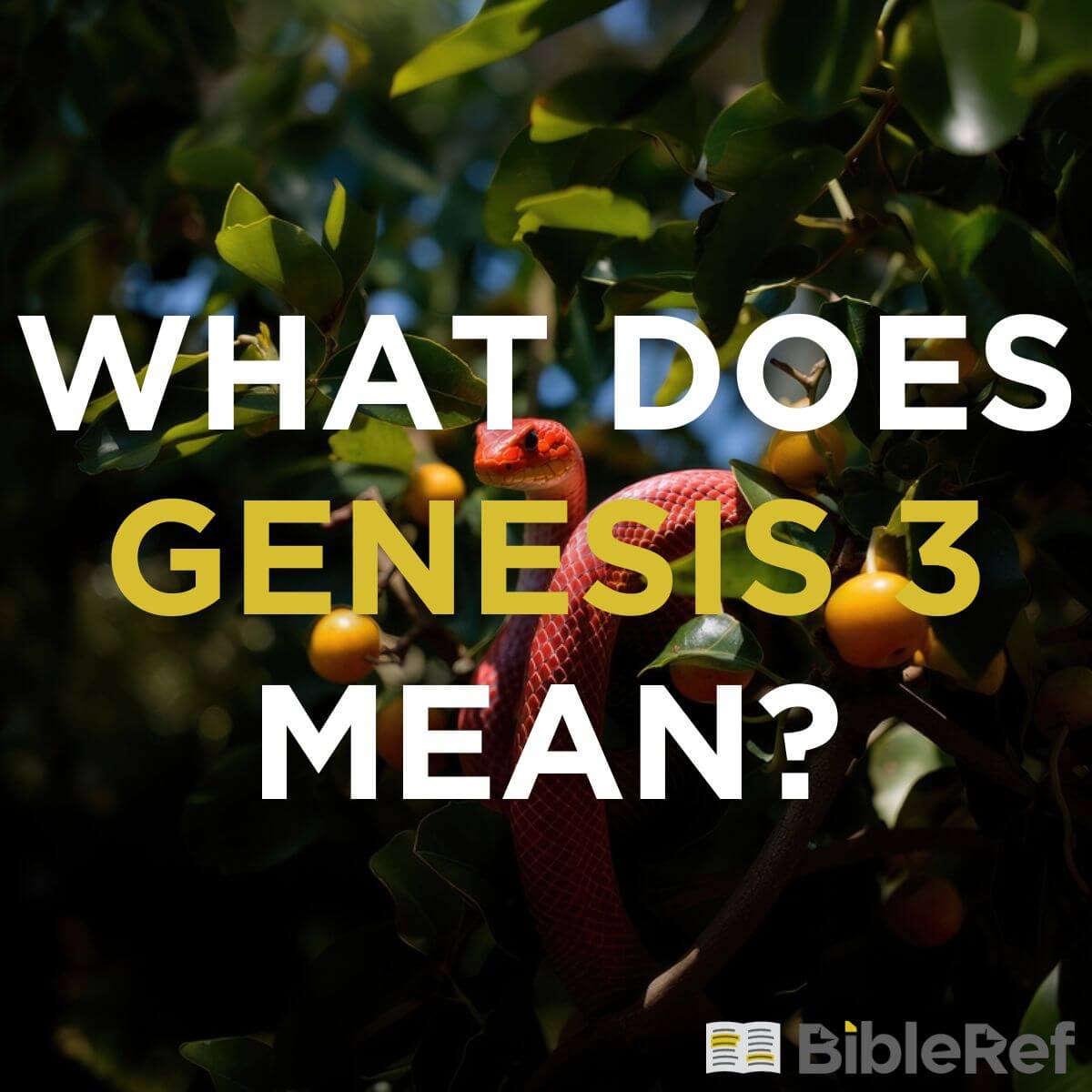 Genesis III