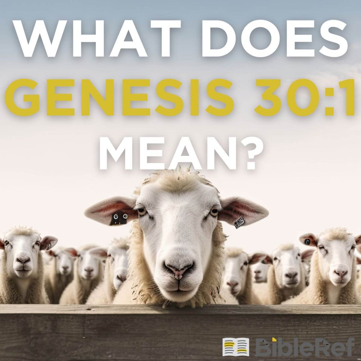 what-does-genesis-30-1-mean-bibleref