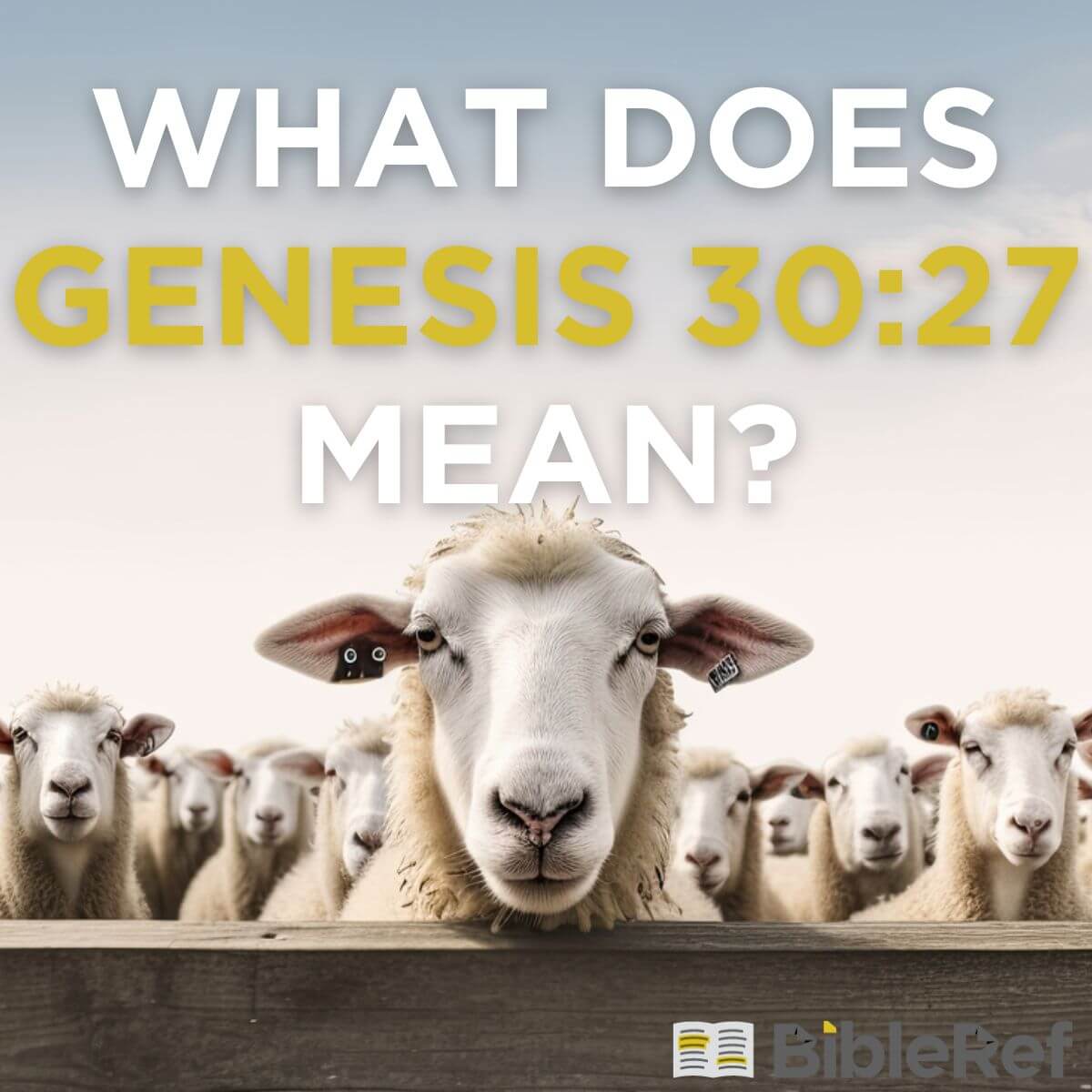 what-does-genesis-30-27-mean-bibleref