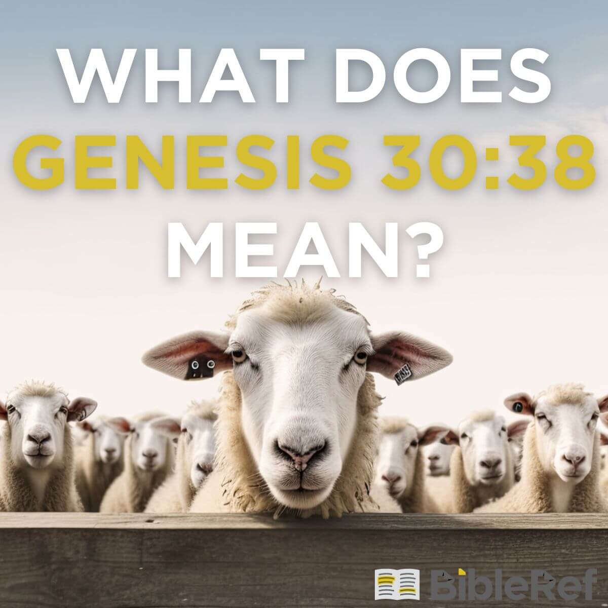 what-does-genesis-30-38-mean-bibleref