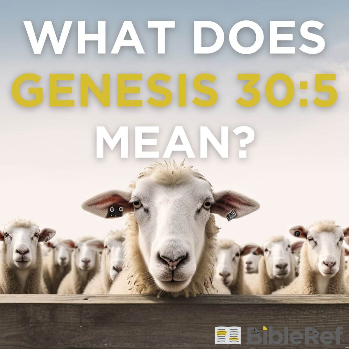 what-does-genesis-30-5-mean-bibleref