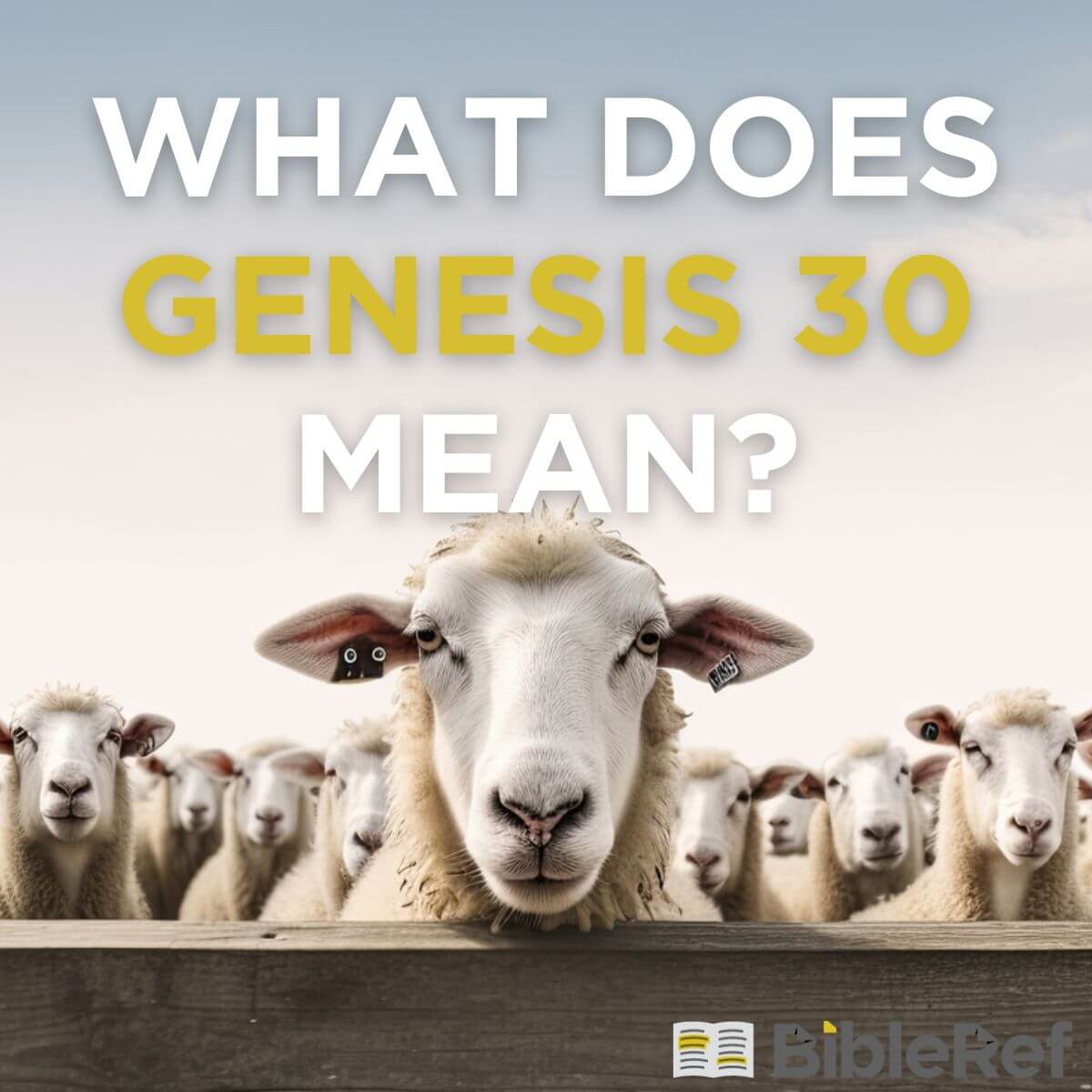 what-does-genesis-chapter-30-mean-bibleref