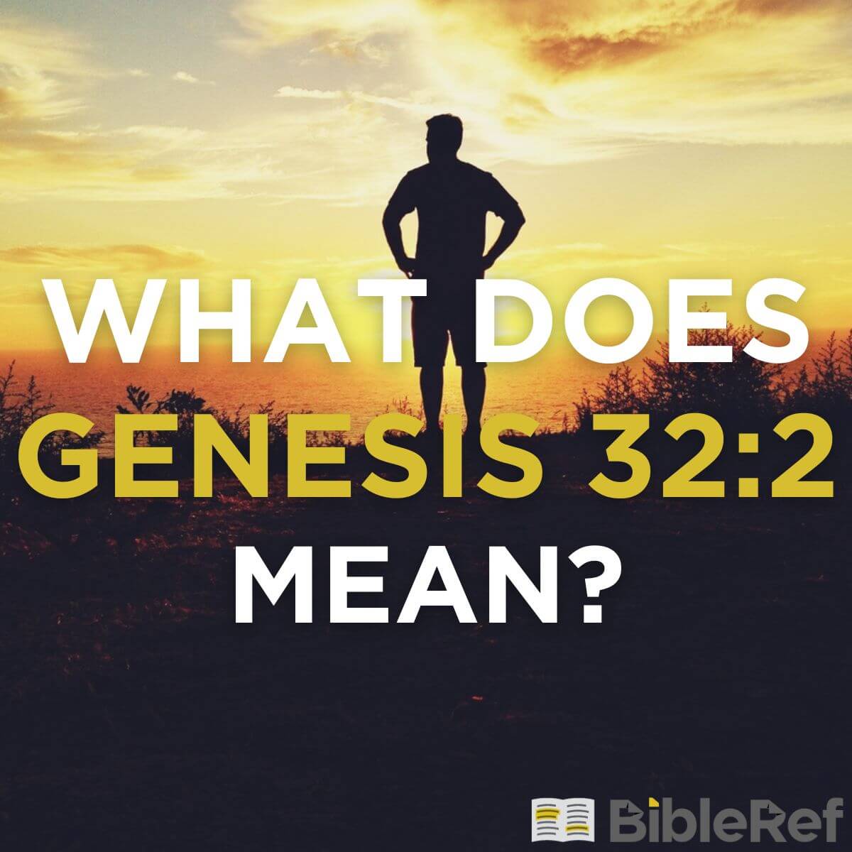 what-does-genesis-32-2-mean-bibleref