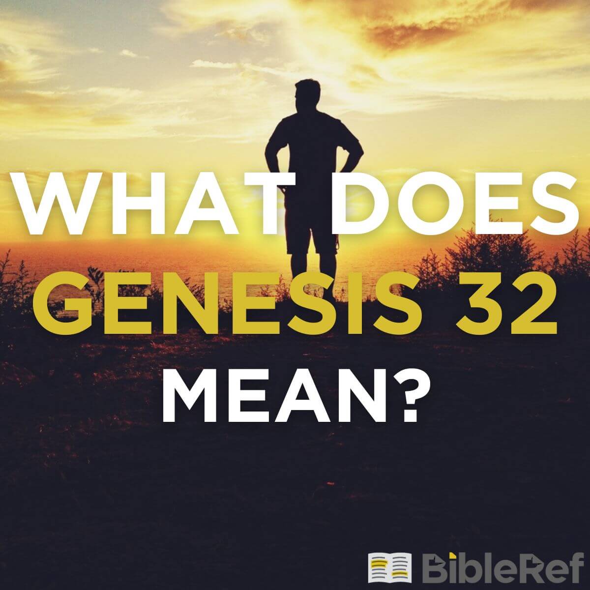 what-does-genesis-chapter-32-mean-bibleref