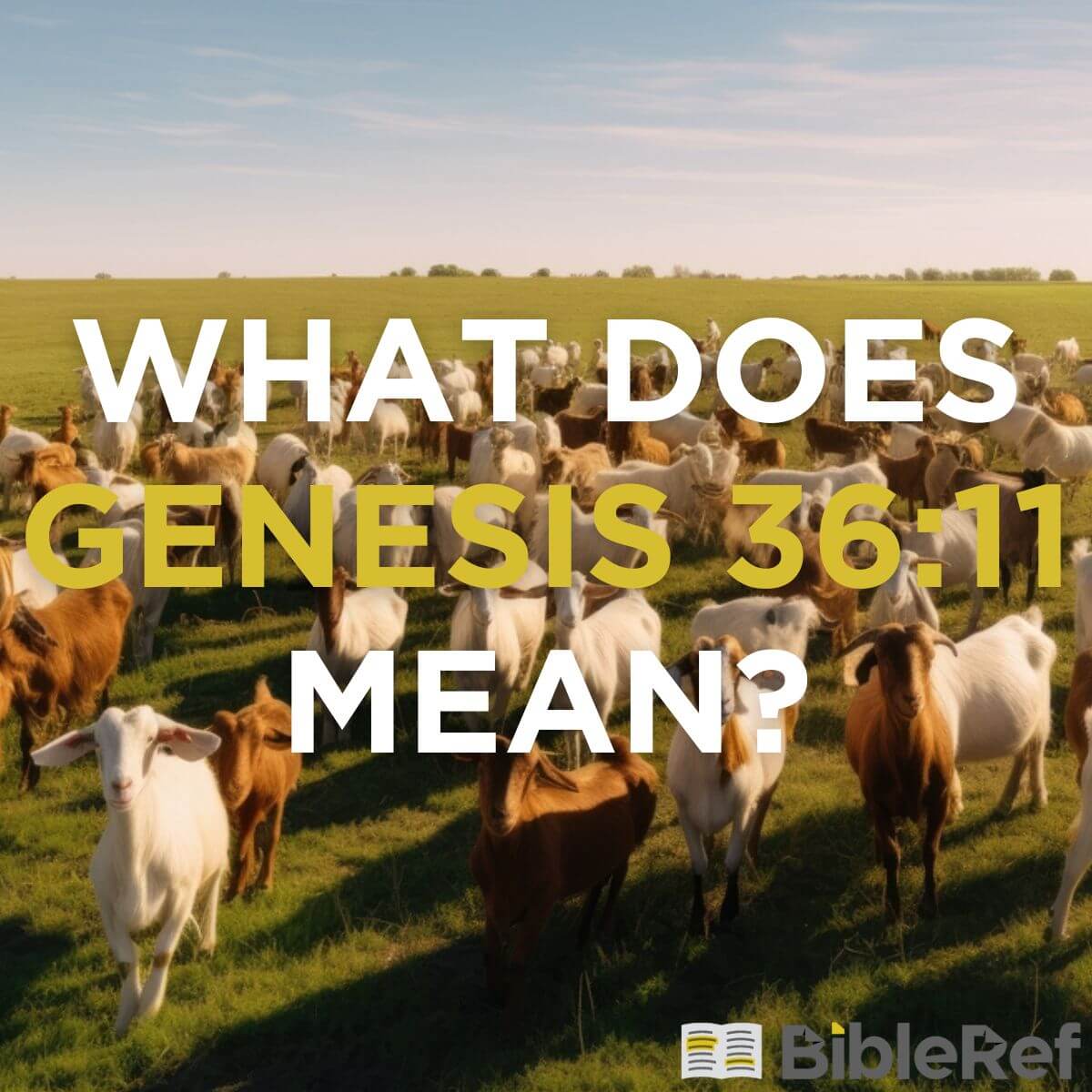 what-does-genesis-36-11-mean-bibleref