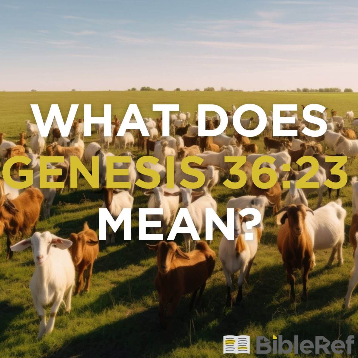 What does Genesis 36:23 mean? | BibleRef.com