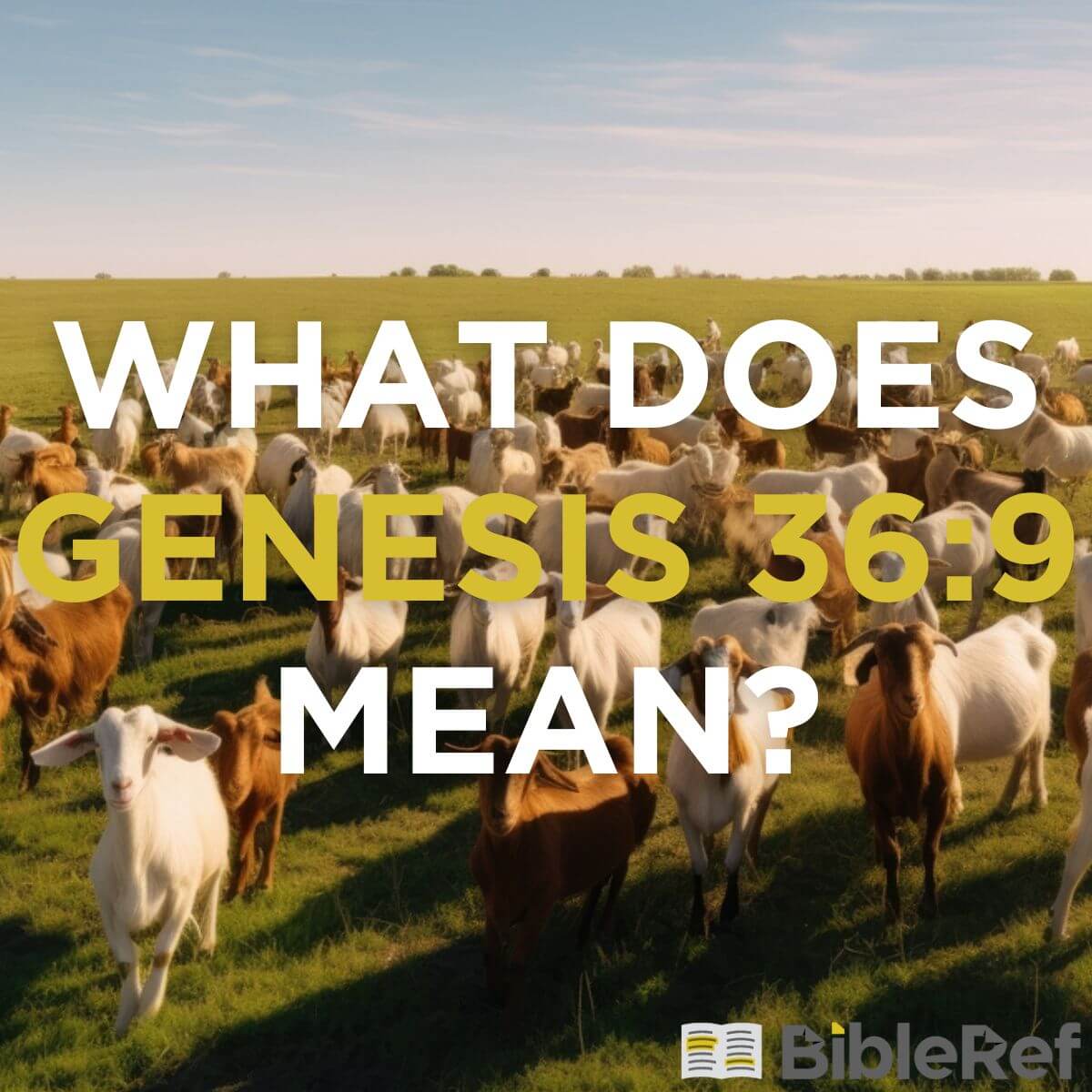 what-does-genesis-36-9-mean-bibleref