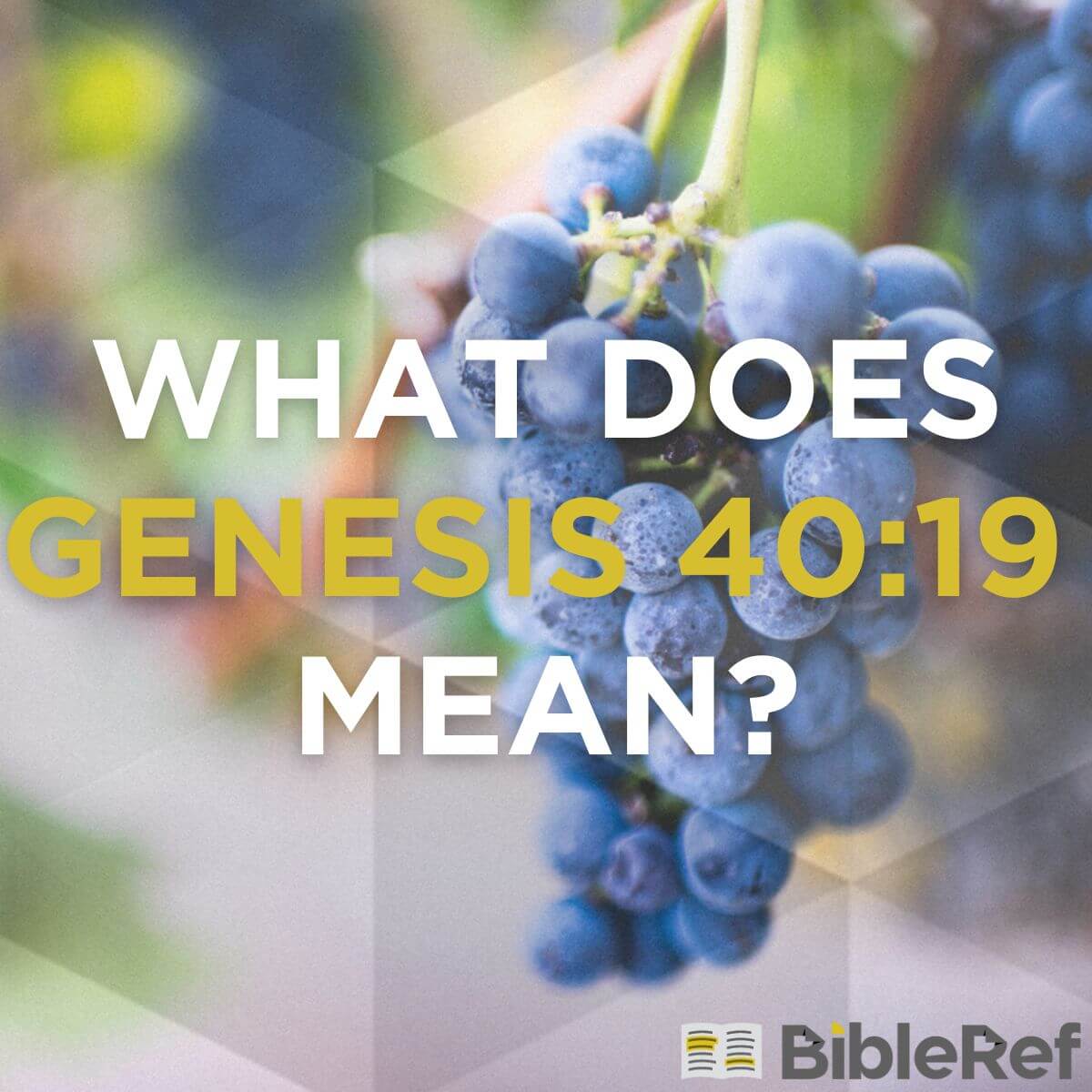 what-does-genesis-40-19-mean-bibleref