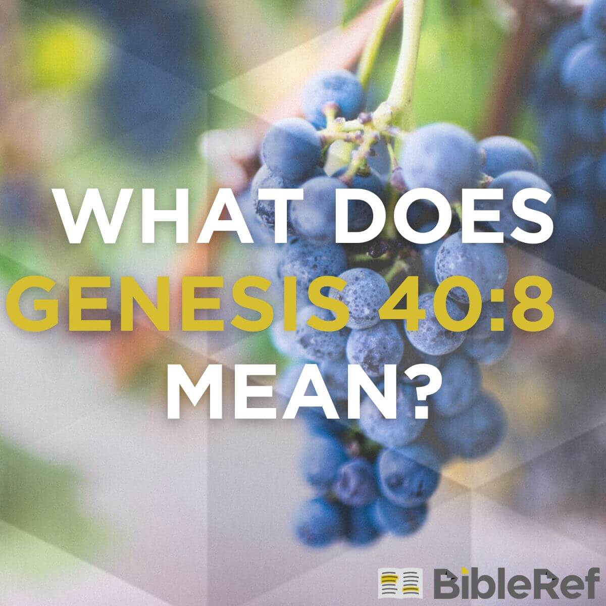 what-does-genesis-40-8-mean-bibleref