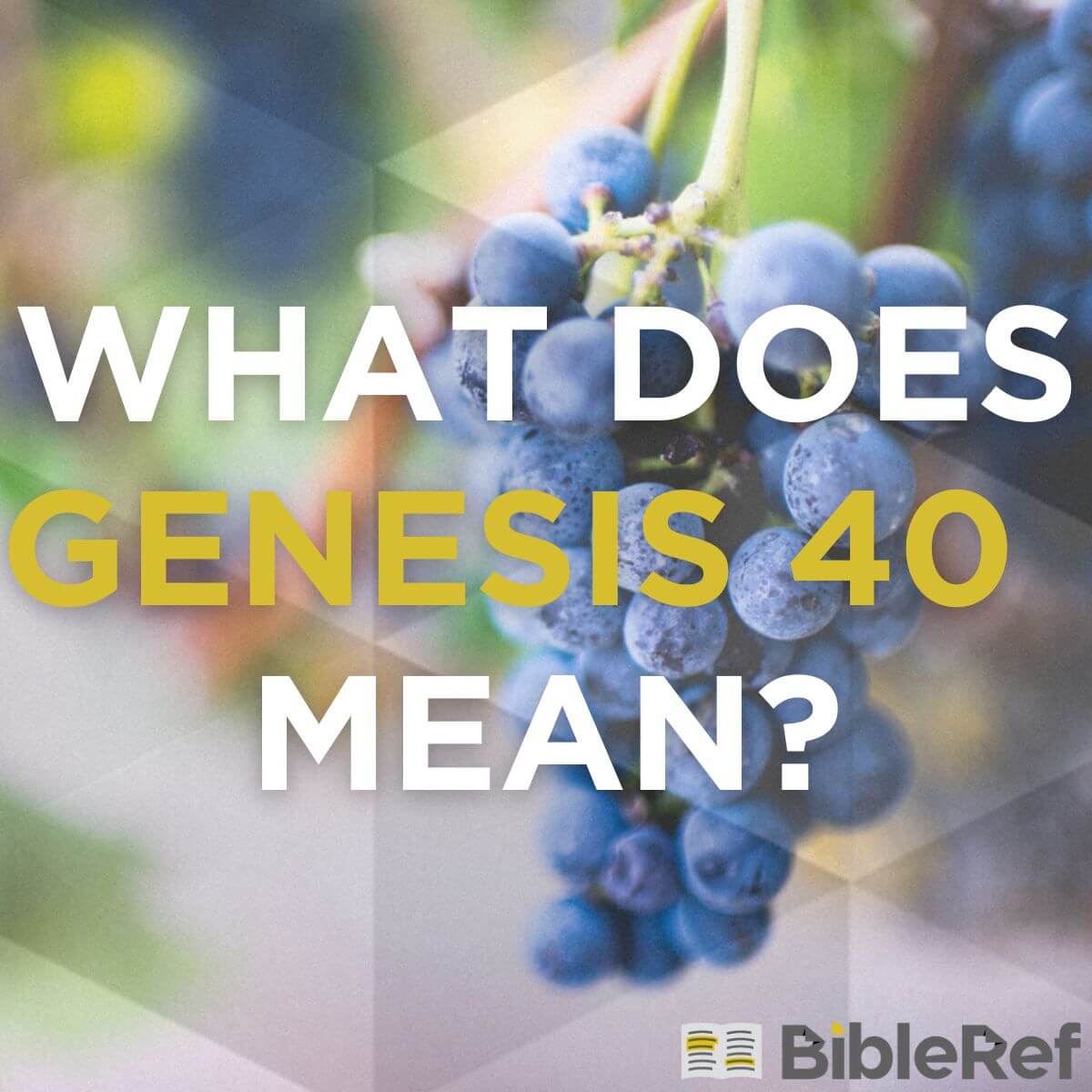 what-does-genesis-chapter-40-mean-bibleref