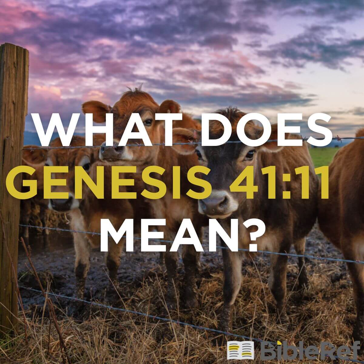 what-does-genesis-41-11-mean-bibleref