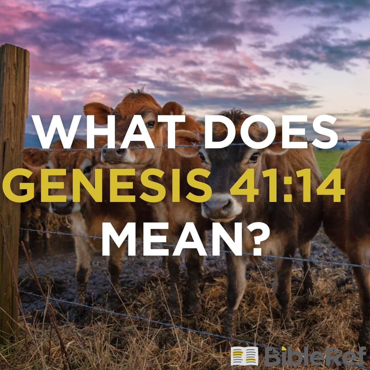 what-does-genesis-41-14-mean-bibleref