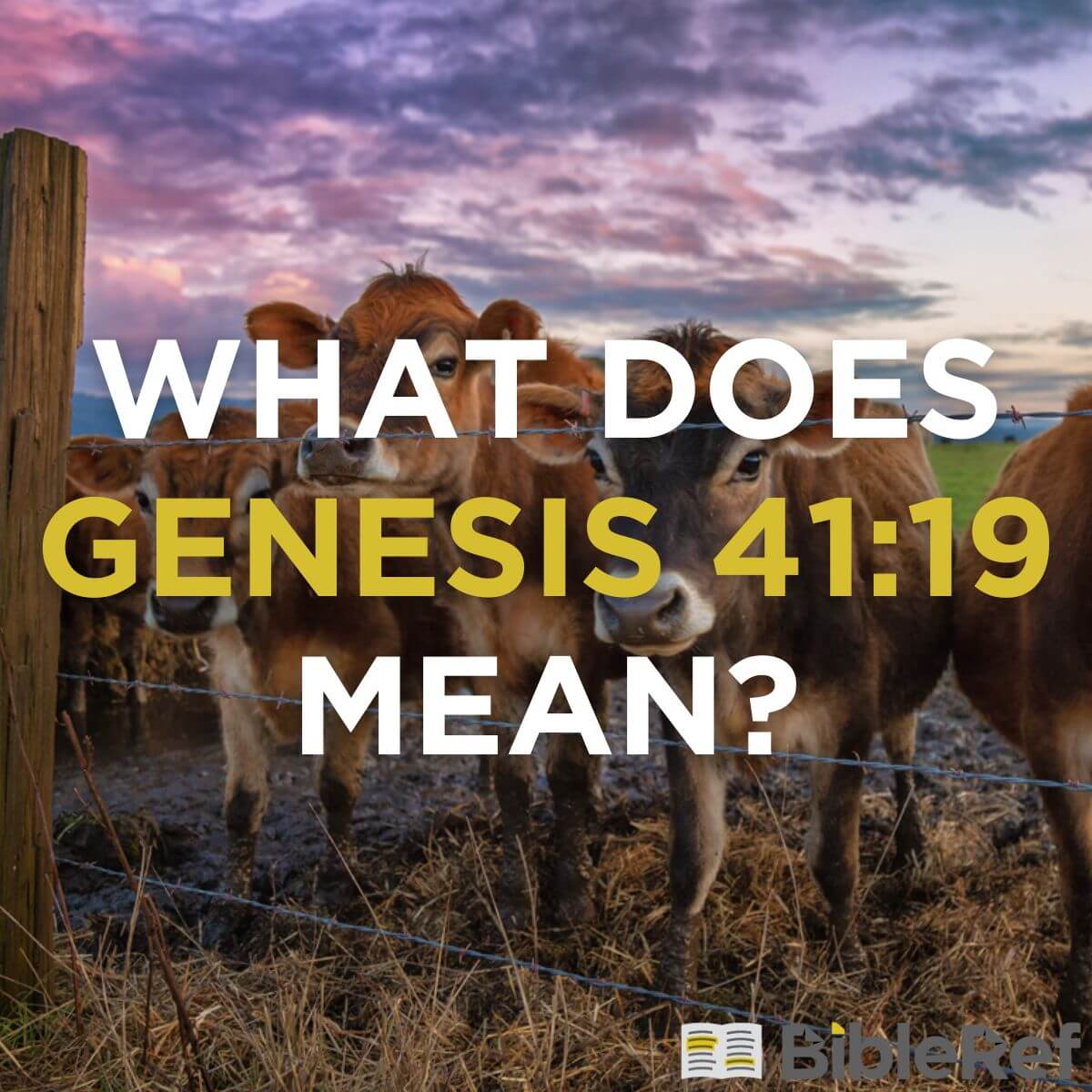 what-does-genesis-41-19-mean-bibleref