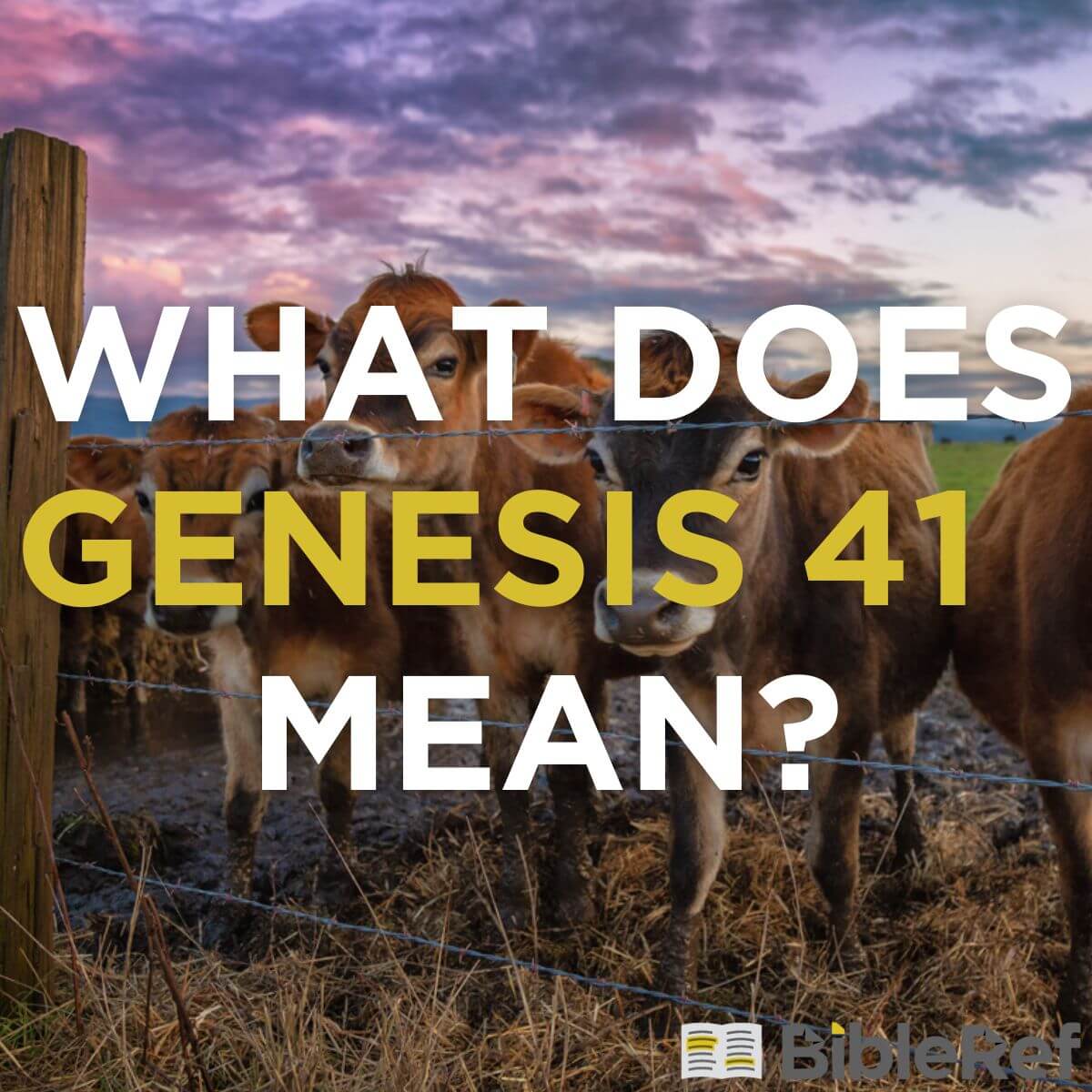 what-does-genesis-chapter-41-mean-bibleref