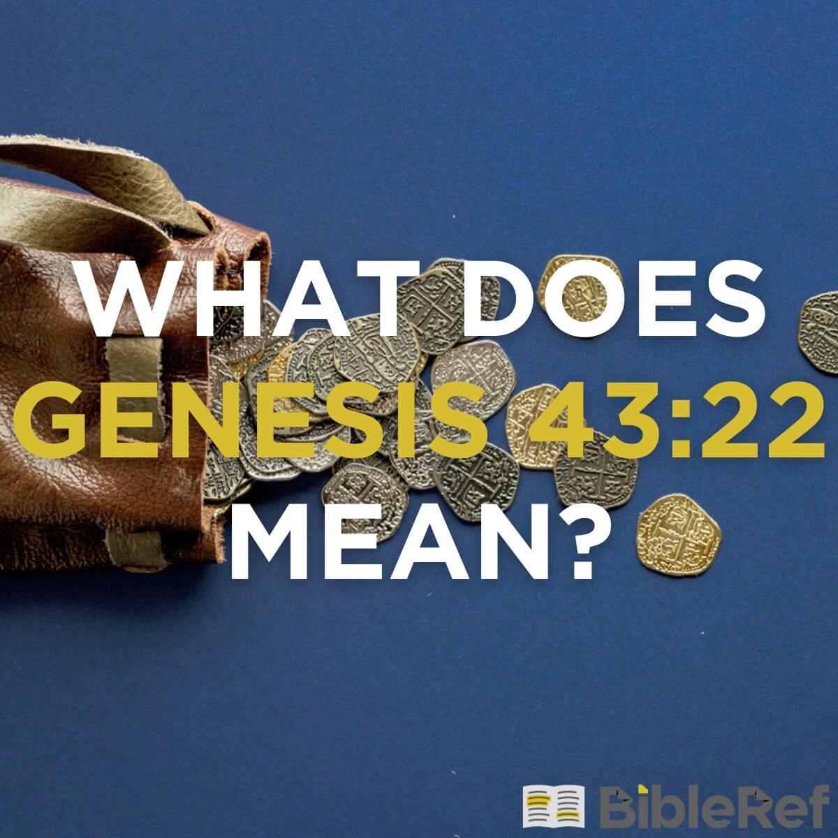 what-does-genesis-43-22-mean-bibleref