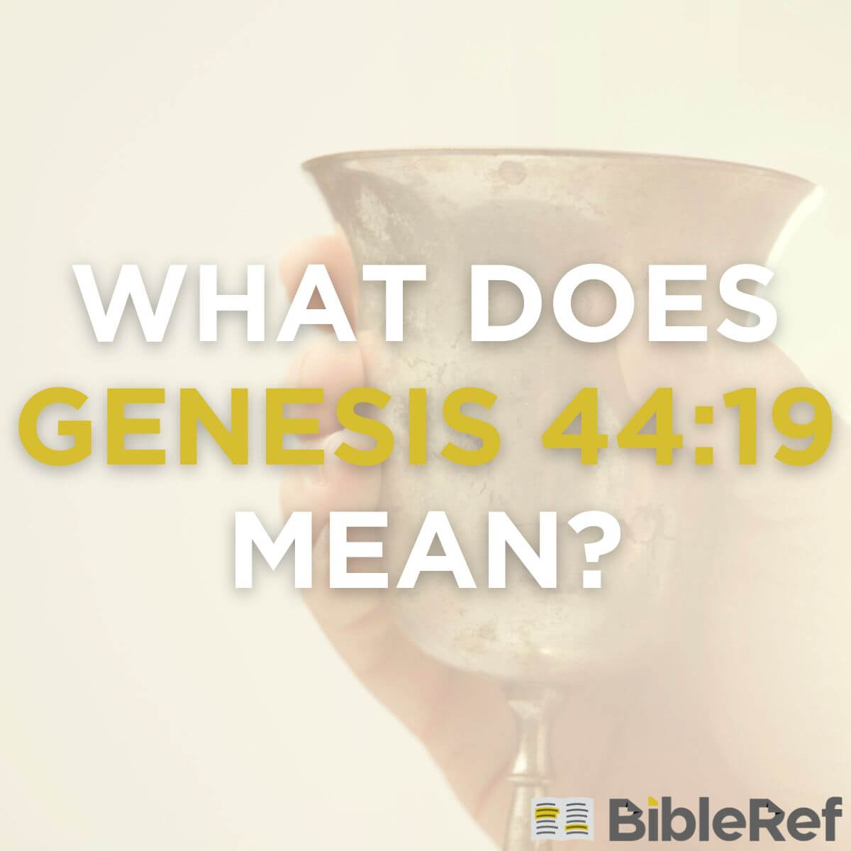 what-does-genesis-44-19-mean-bibleref